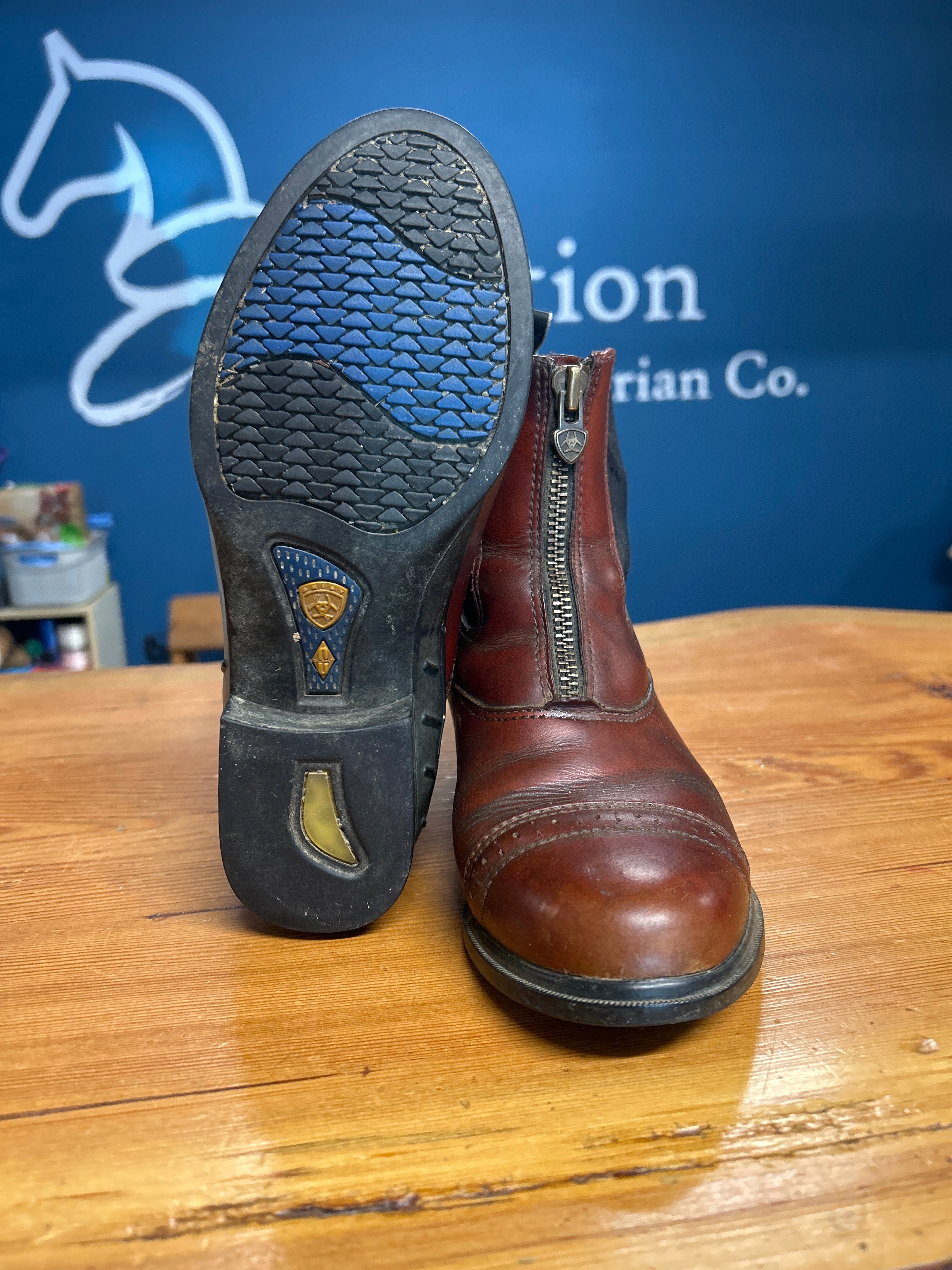 Ariat Brown Paddock Boots & Half Chaps-Riding Boots-Consignment-Evolution Equestrian Co.