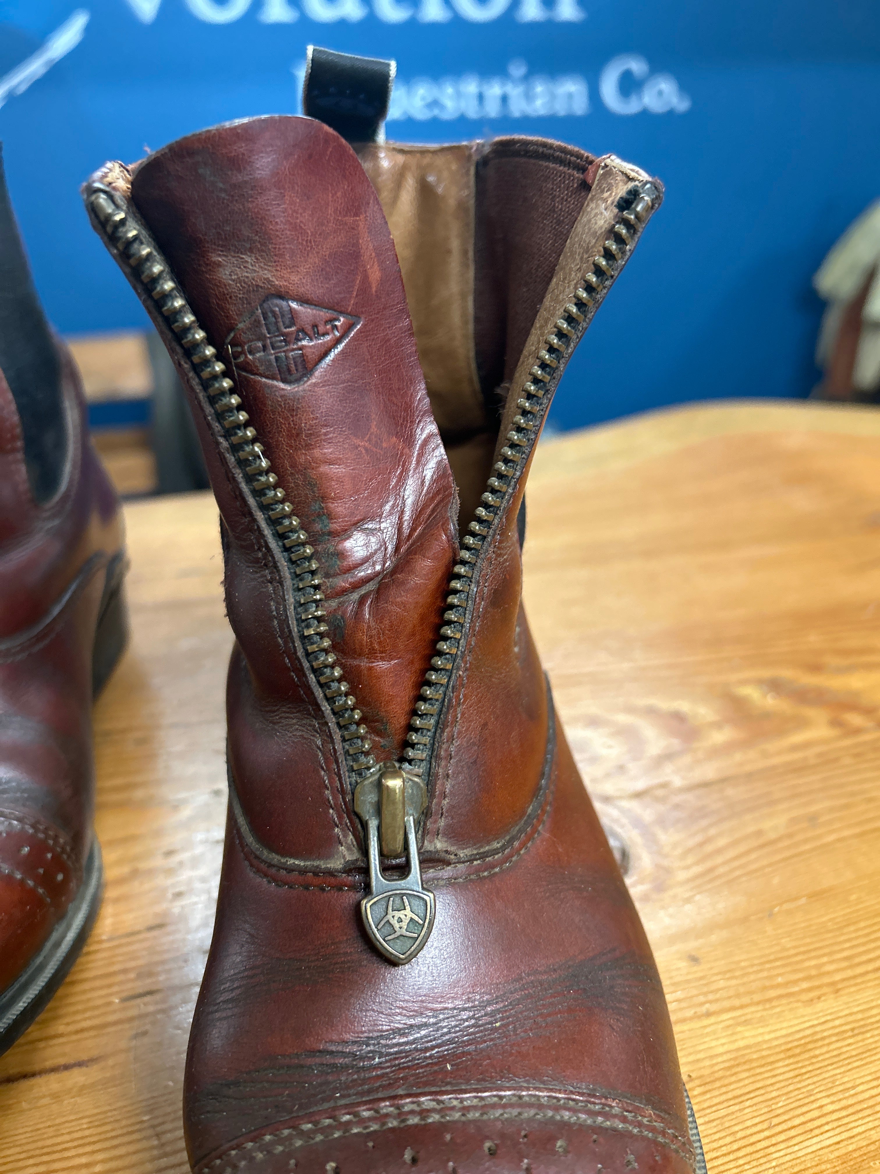 Ariat Brown Paddock Boots & Half Chaps-Riding Boots-Consignment-Evolution Equestrian Co.