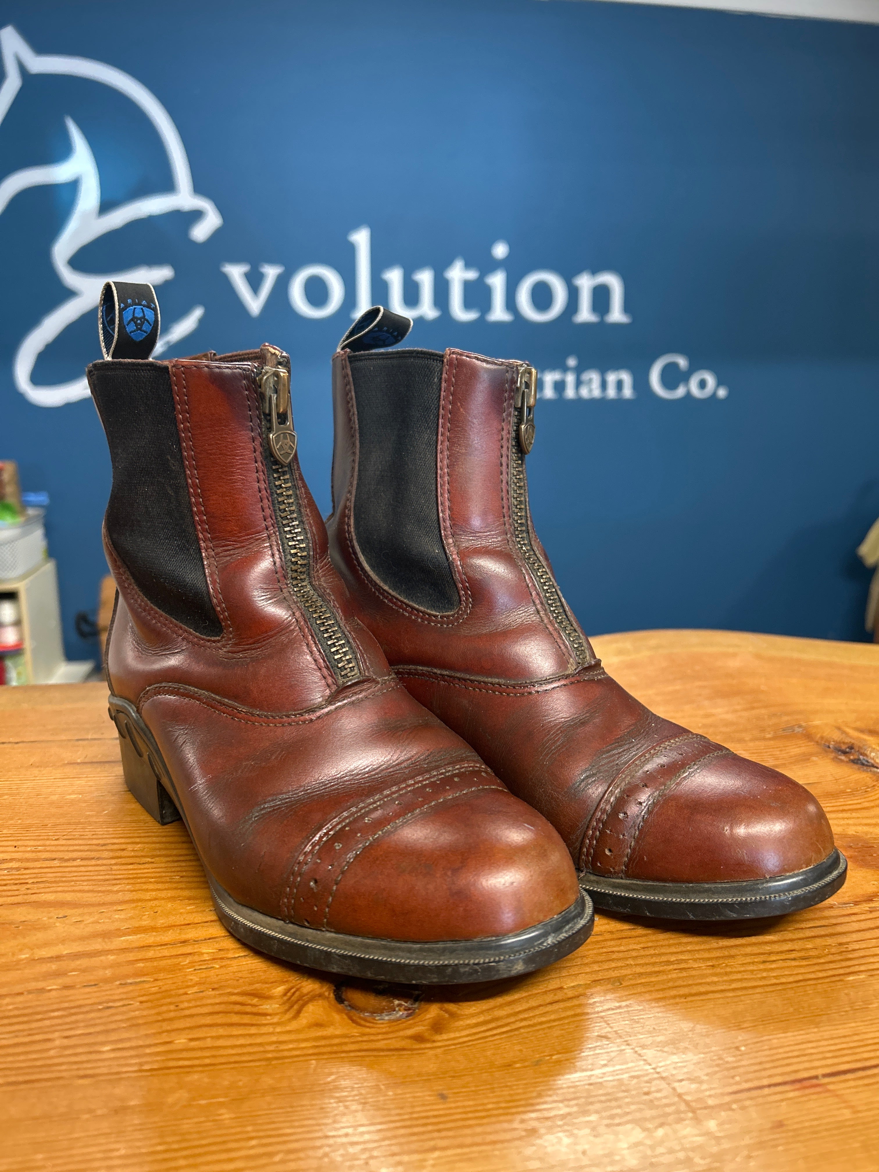Ariat Brown Paddock Boots & Half Chaps-Riding Boots-Consignment-Evolution Equestrian Co.