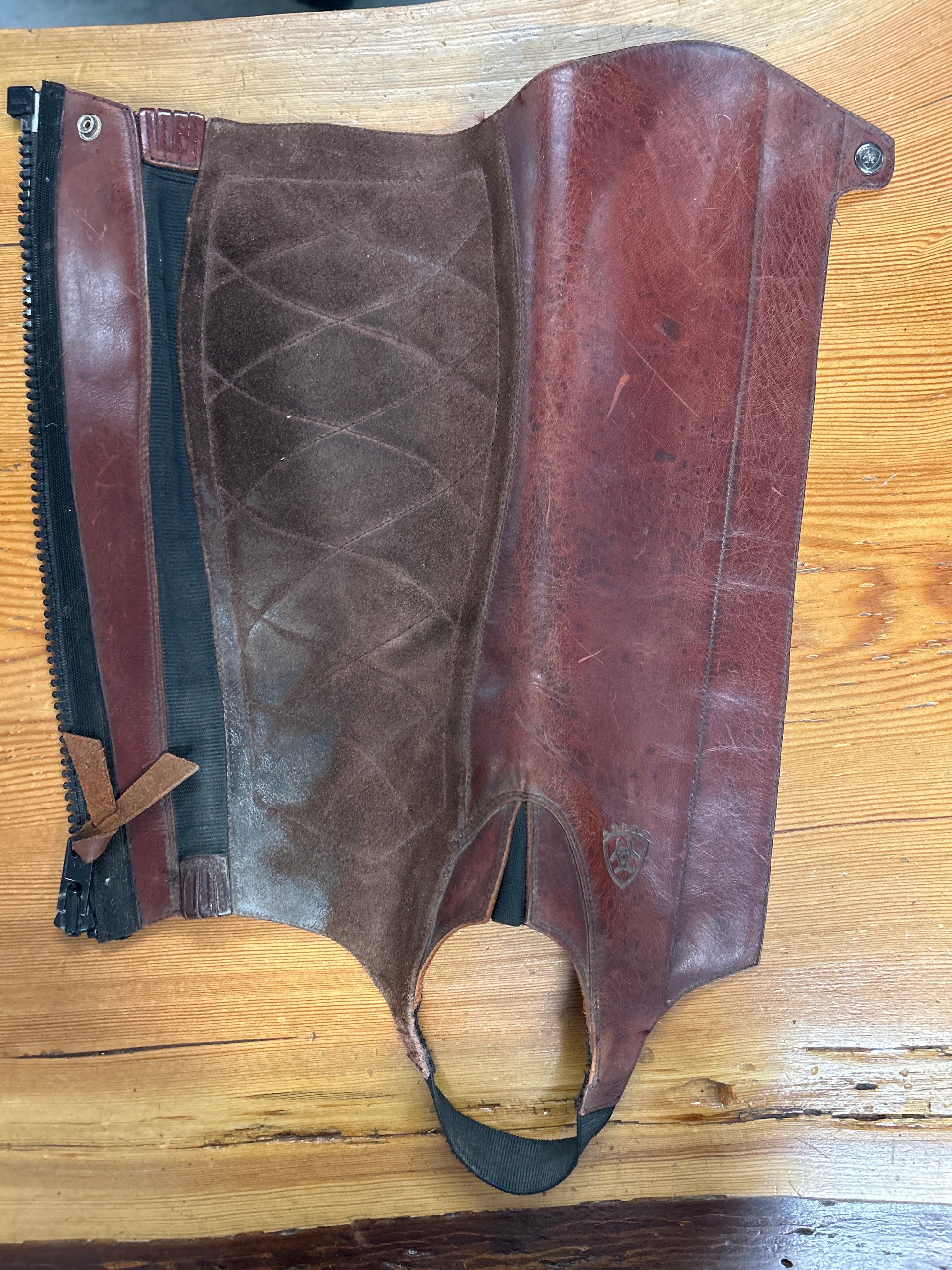 Ariat Brown Paddock Boots & Half Chaps-Riding Boots-Consignment-Evolution Equestrian Co.