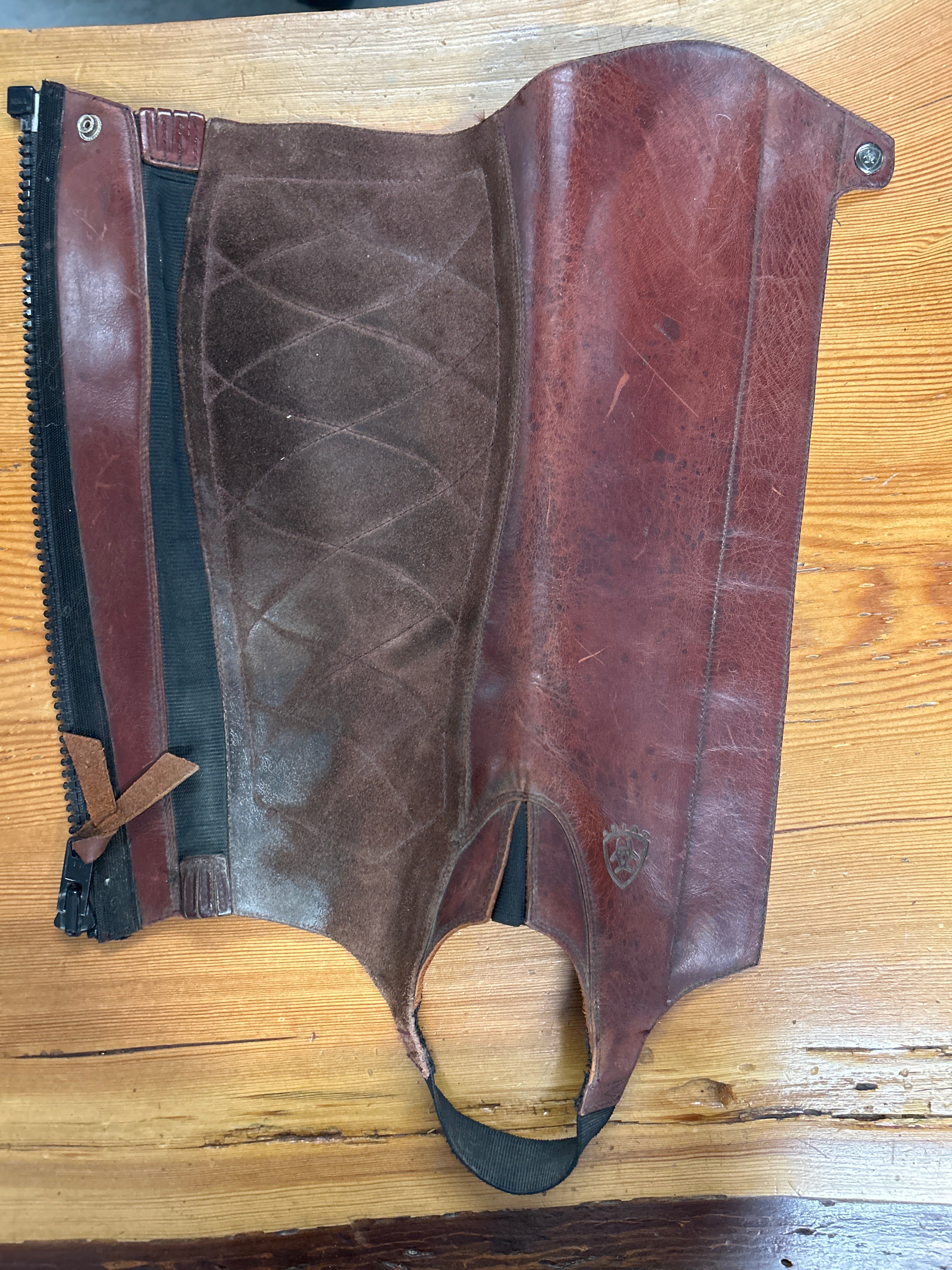 Ariat Brown Paddock Boots & Half Chaps-Riding Boots-Consignment-Evolution Equestrian Co.