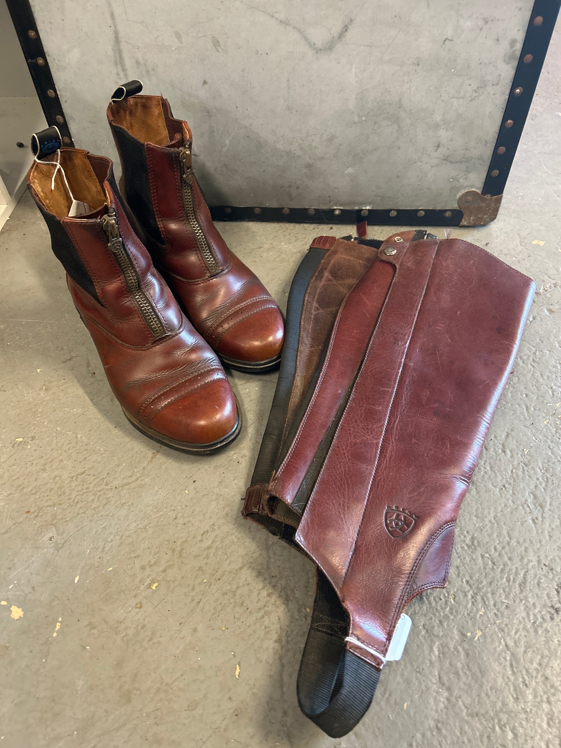 Ariat Brown Paddock Boots & Half Chaps-Riding Boots-Consignment-Evolution Equestrian Co.