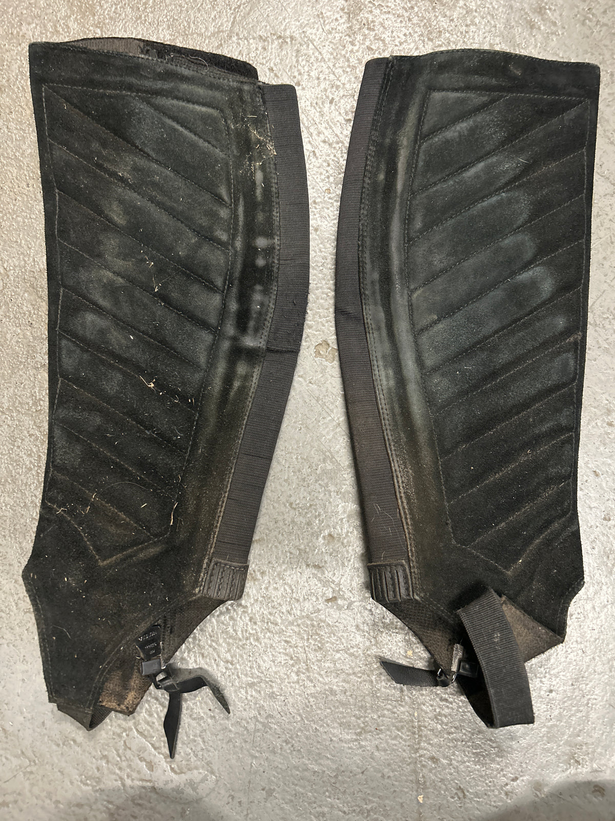 Ariat Classic Half Chaps Medium