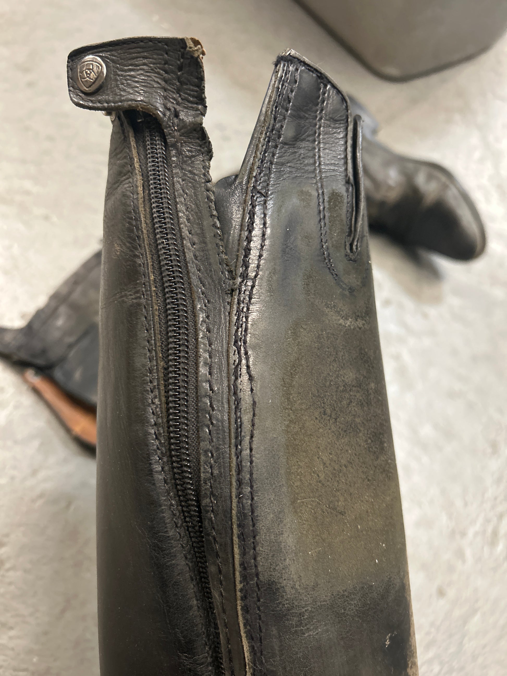 Ariat Field Boots 8 Reg/Tall-Riding Boots-Consignment-Evolution Equestrian Co.