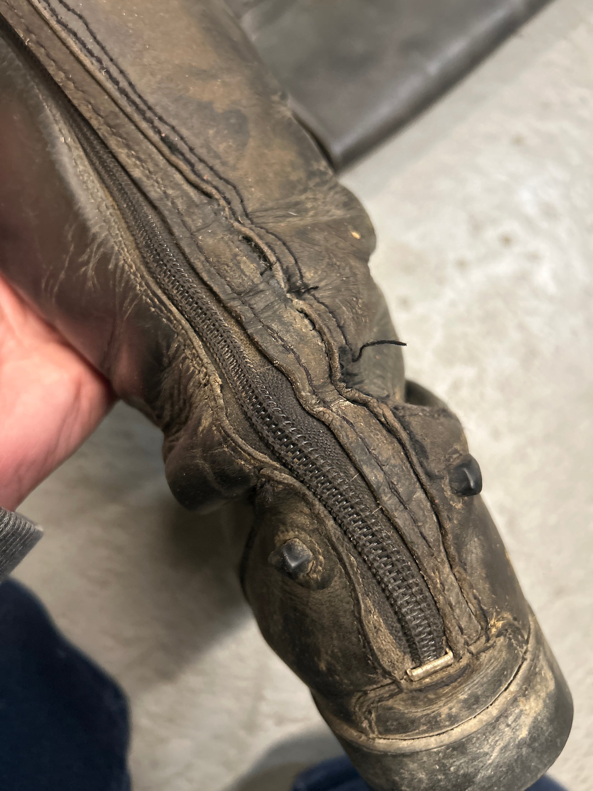 Ariat Field Boots 8 Reg/Tall-Riding Boots-Consignment-Evolution Equestrian Co.