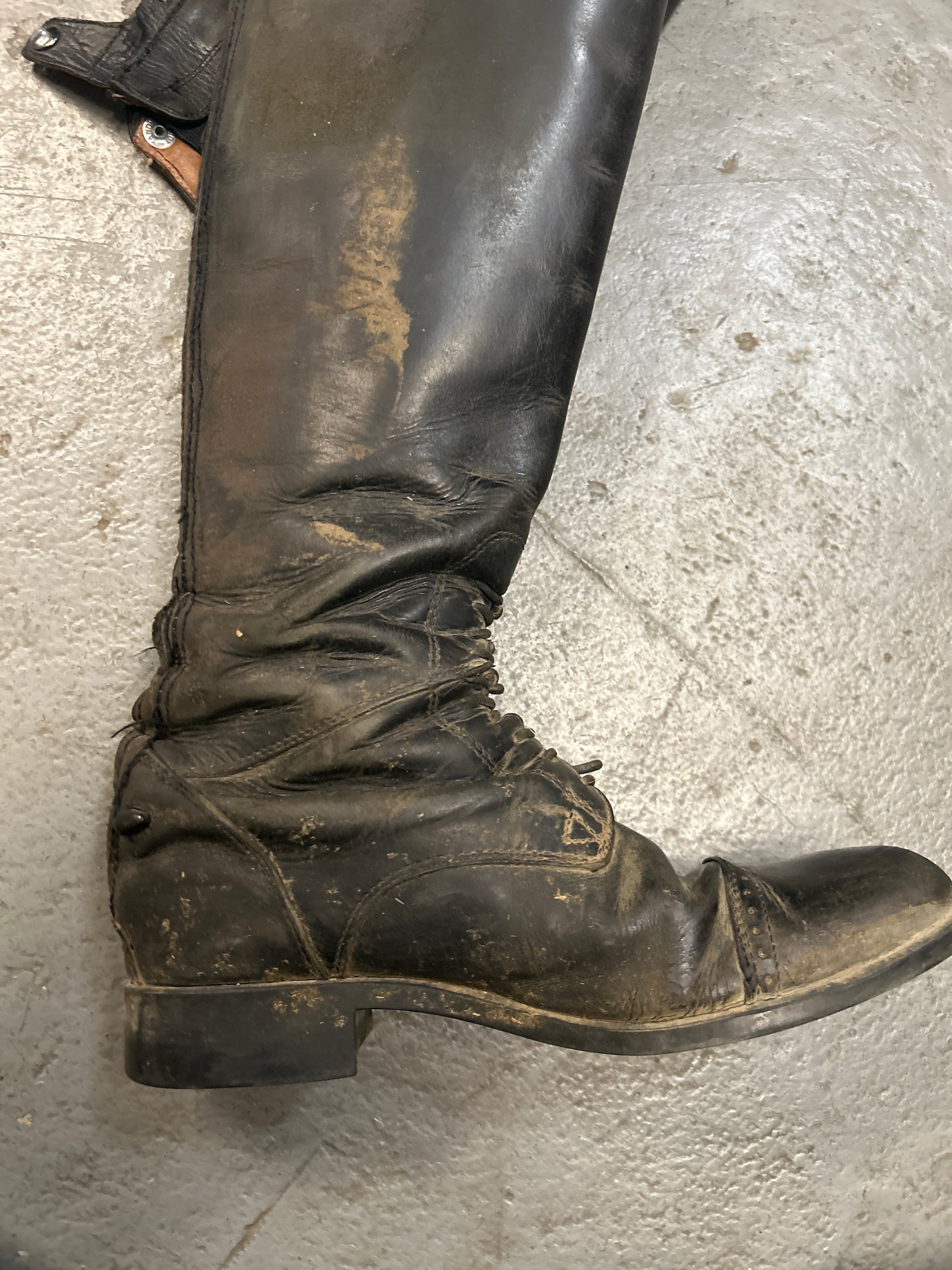 Ariat Field Boots 8 Reg/Tall-Riding Boots-Consignment-Evolution Equestrian Co.