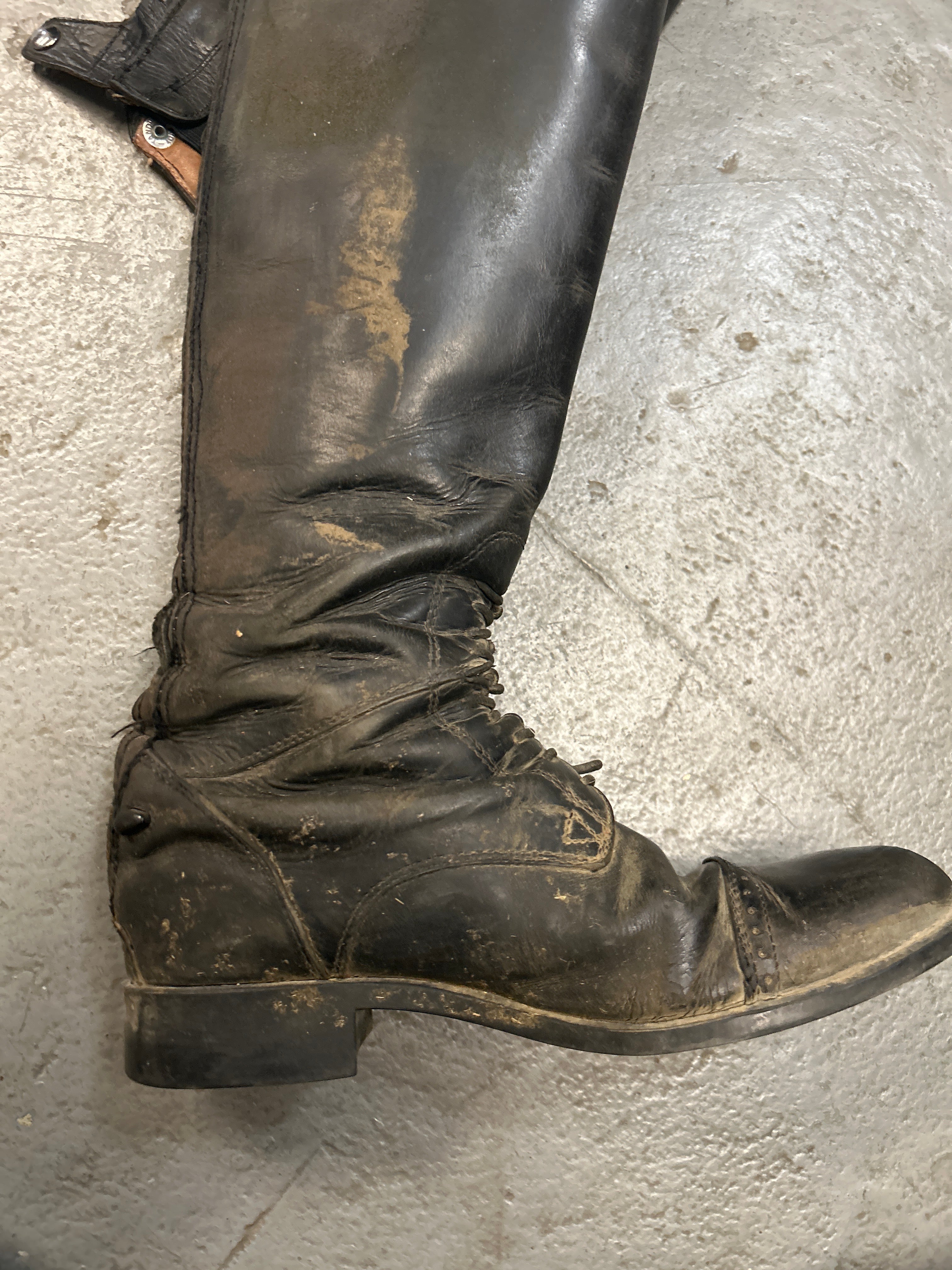 Ariat Field Boots 8 Reg/Tall-Riding Boots-Consignment-Evolution Equestrian Co.