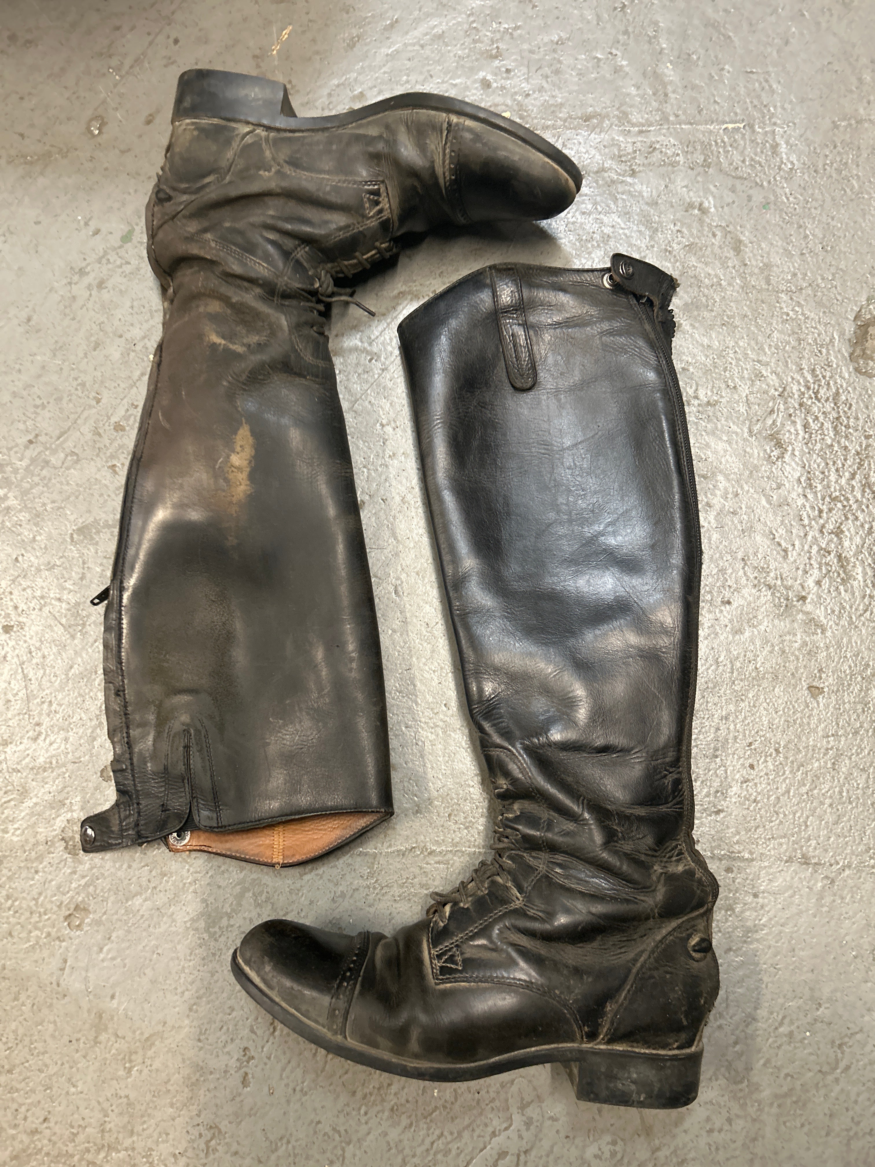 Ariat Field Boots 8 Reg/Tall-Riding Boots-Consignment-Evolution Equestrian Co.