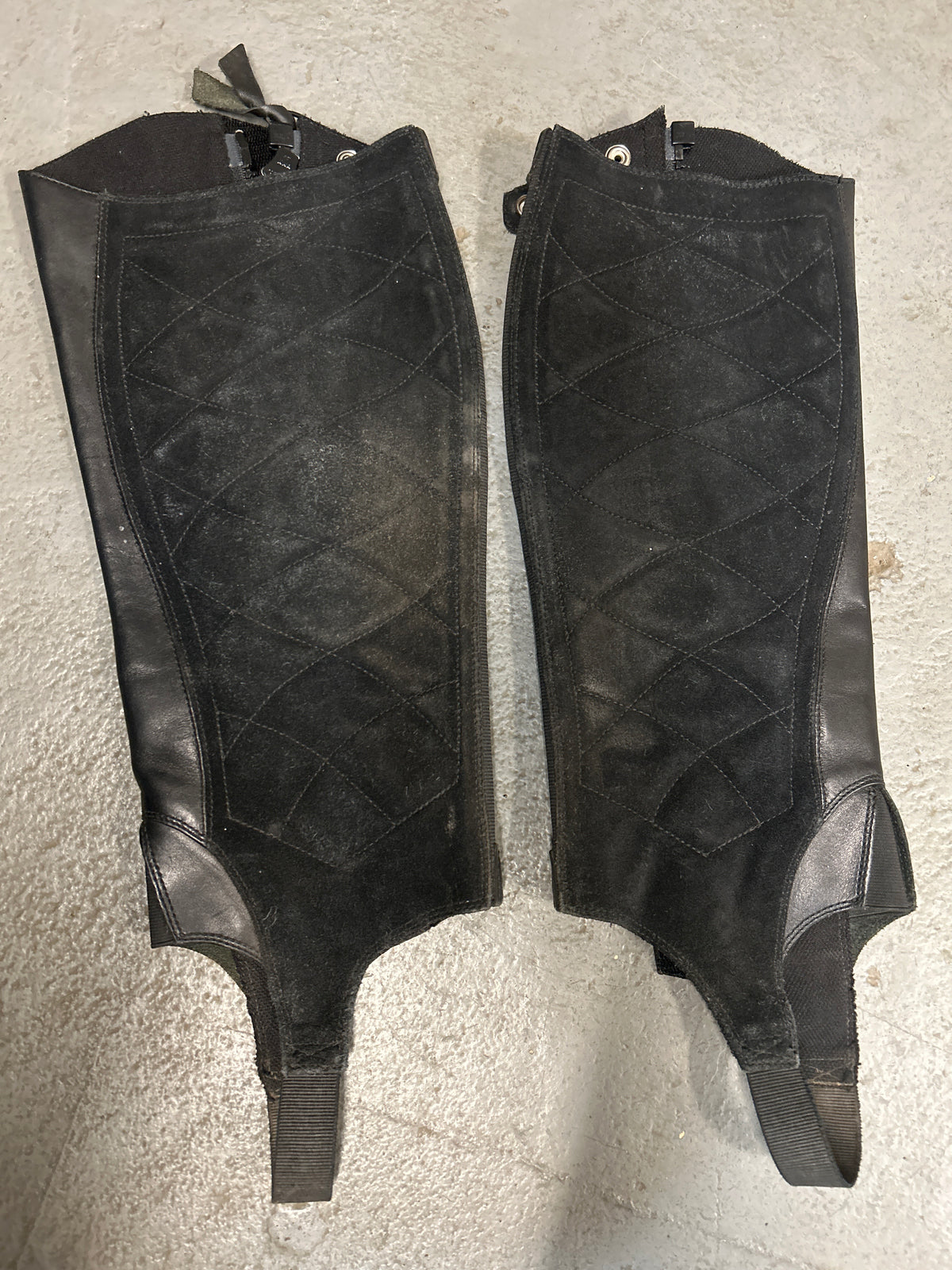 Ariat Half Chaps Large