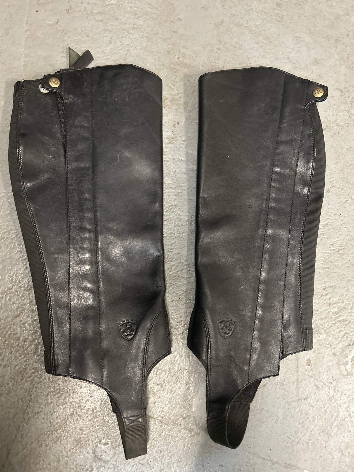 Ariat Half Chaps Large