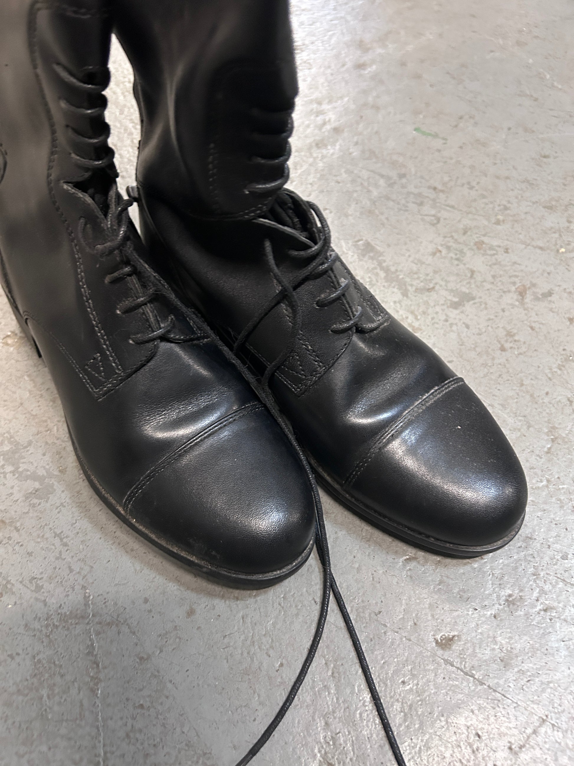 Ariat Heritage Contour II Tall Boots 8 Full-Riding Boots-Consignment-Evolution Equestrian Co.