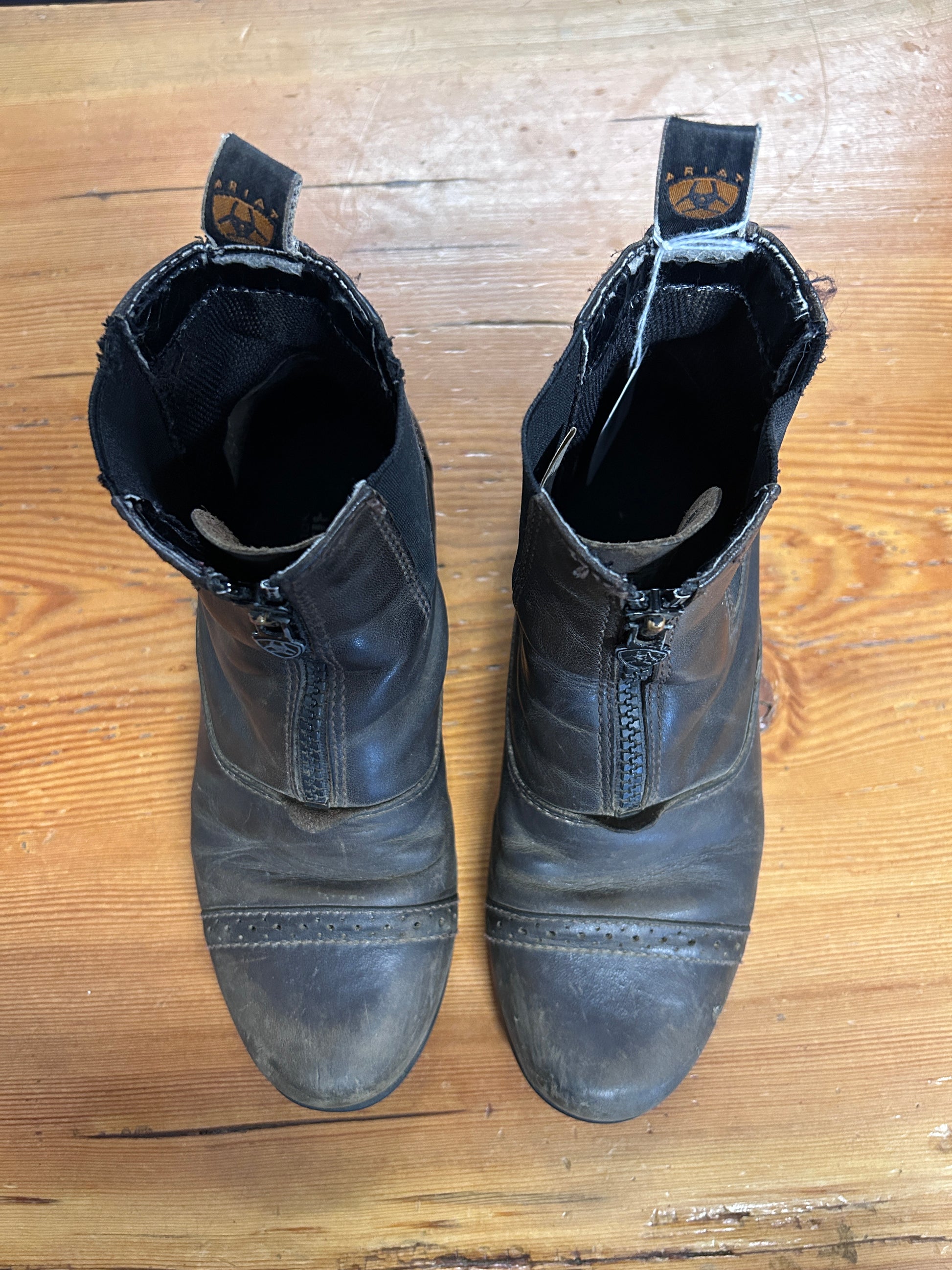 Ariat Kids Paddock Boots Brown Size 2-Riding Boots-Consignment-Evolution Equestrian Co.