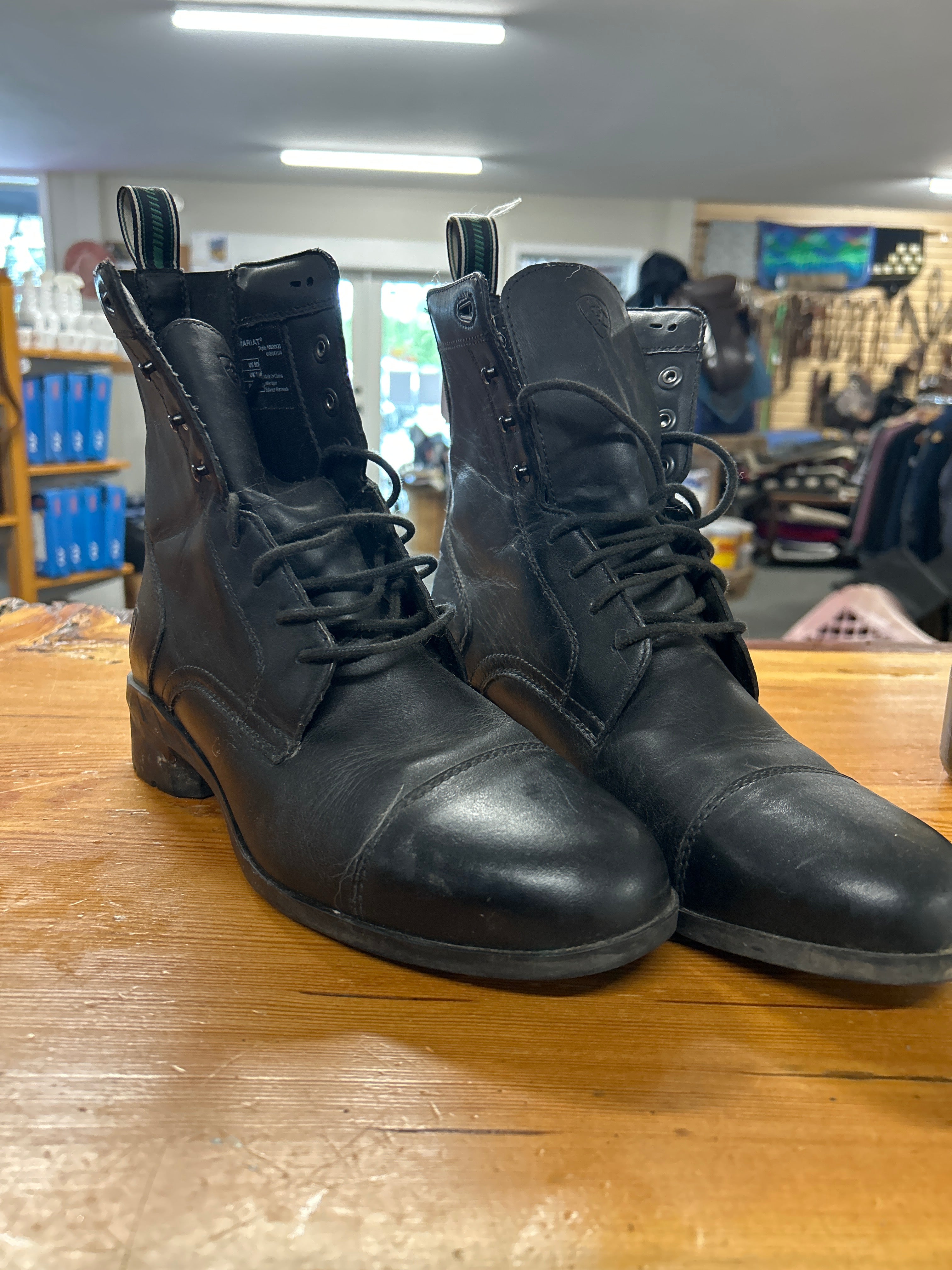 Ariat Lace Up Paddock Boots Mens 9-Paddock Boots-Consignment-Evolution Equestrian Co.