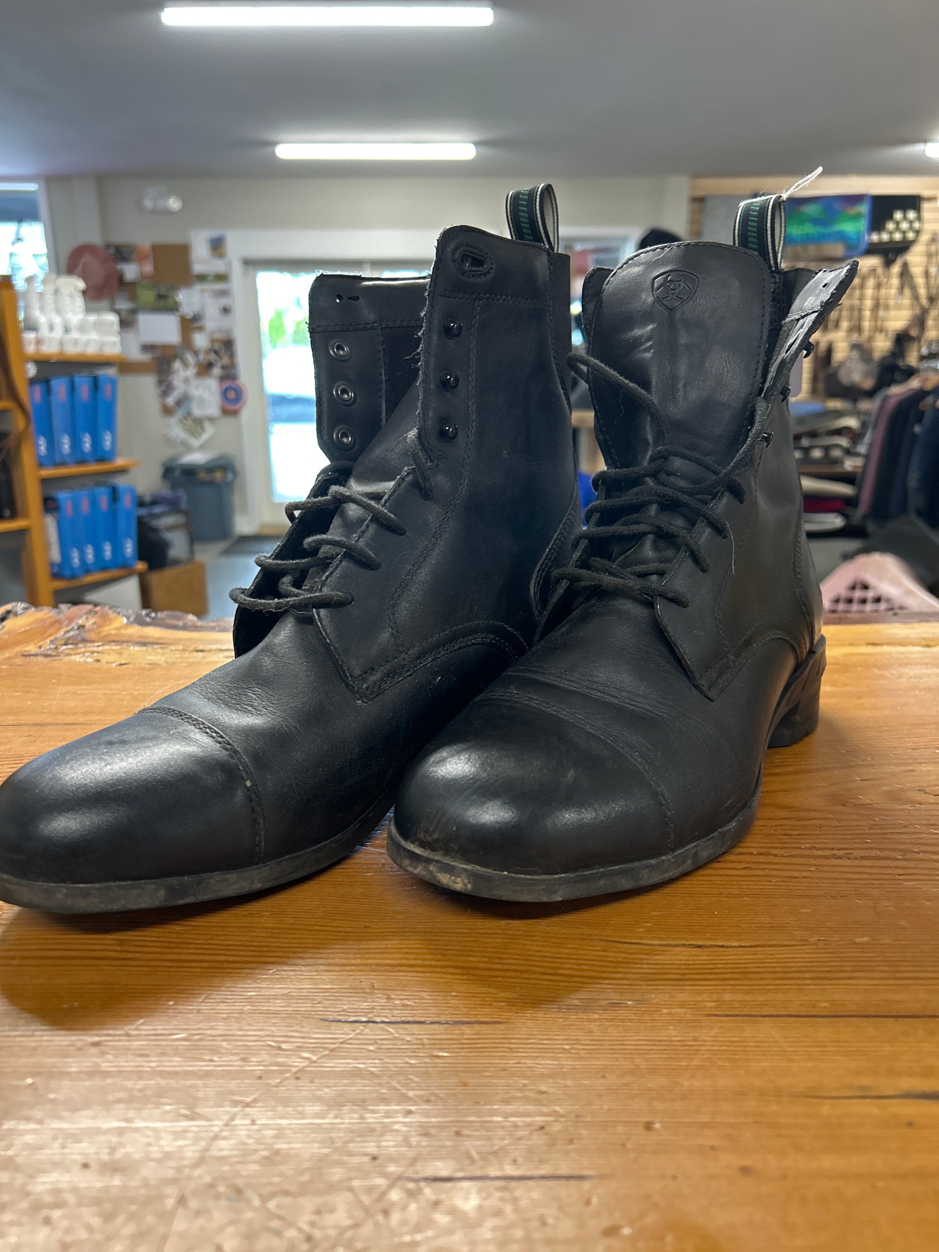 Ariat Lace Up Paddock Boots Mens 9-Paddock Boots-Consignment-Evolution Equestrian Co.