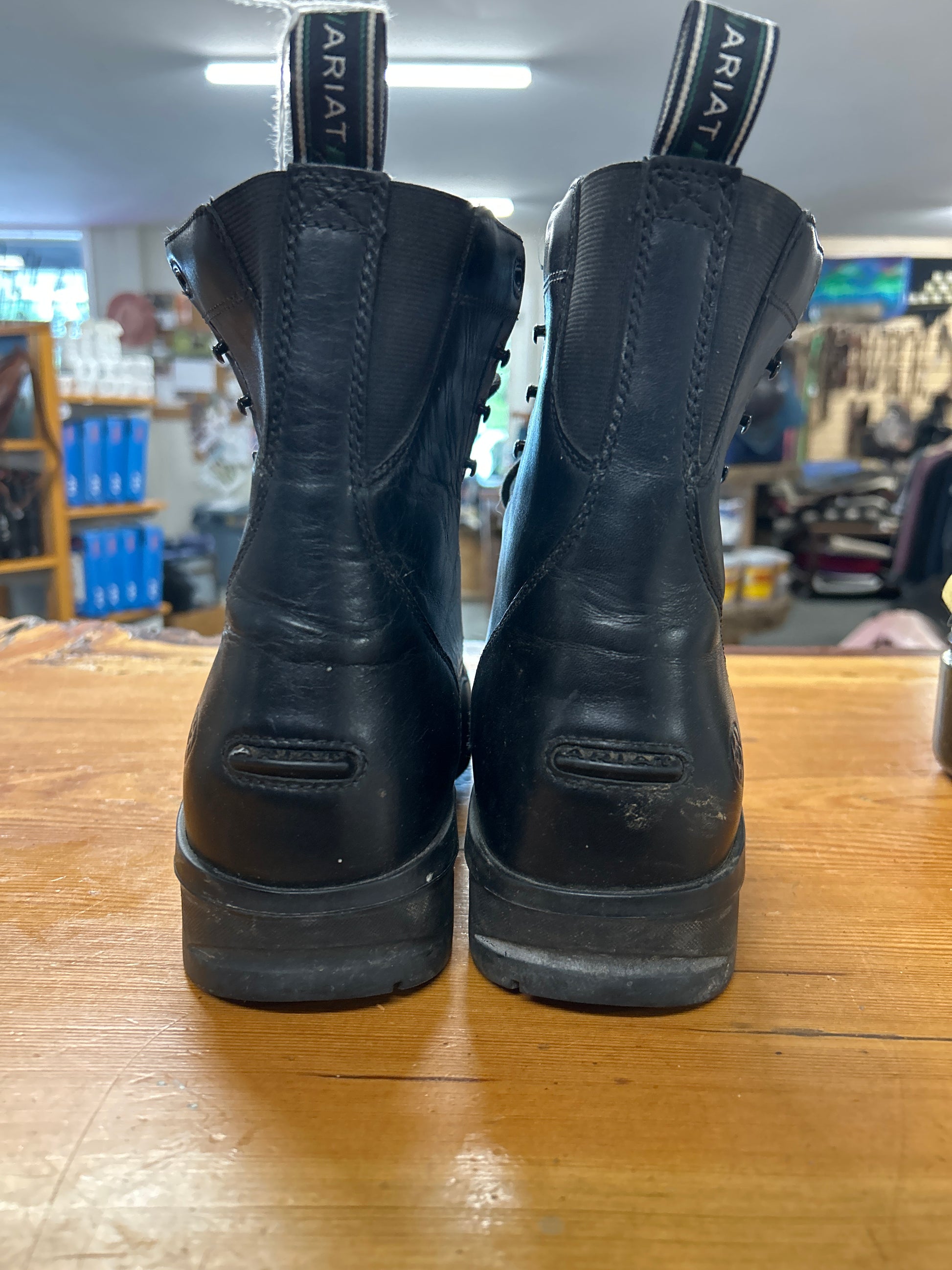 Ariat Lace Up Paddock Boots Mens 9-Paddock Boots-Consignment-Evolution Equestrian Co.
