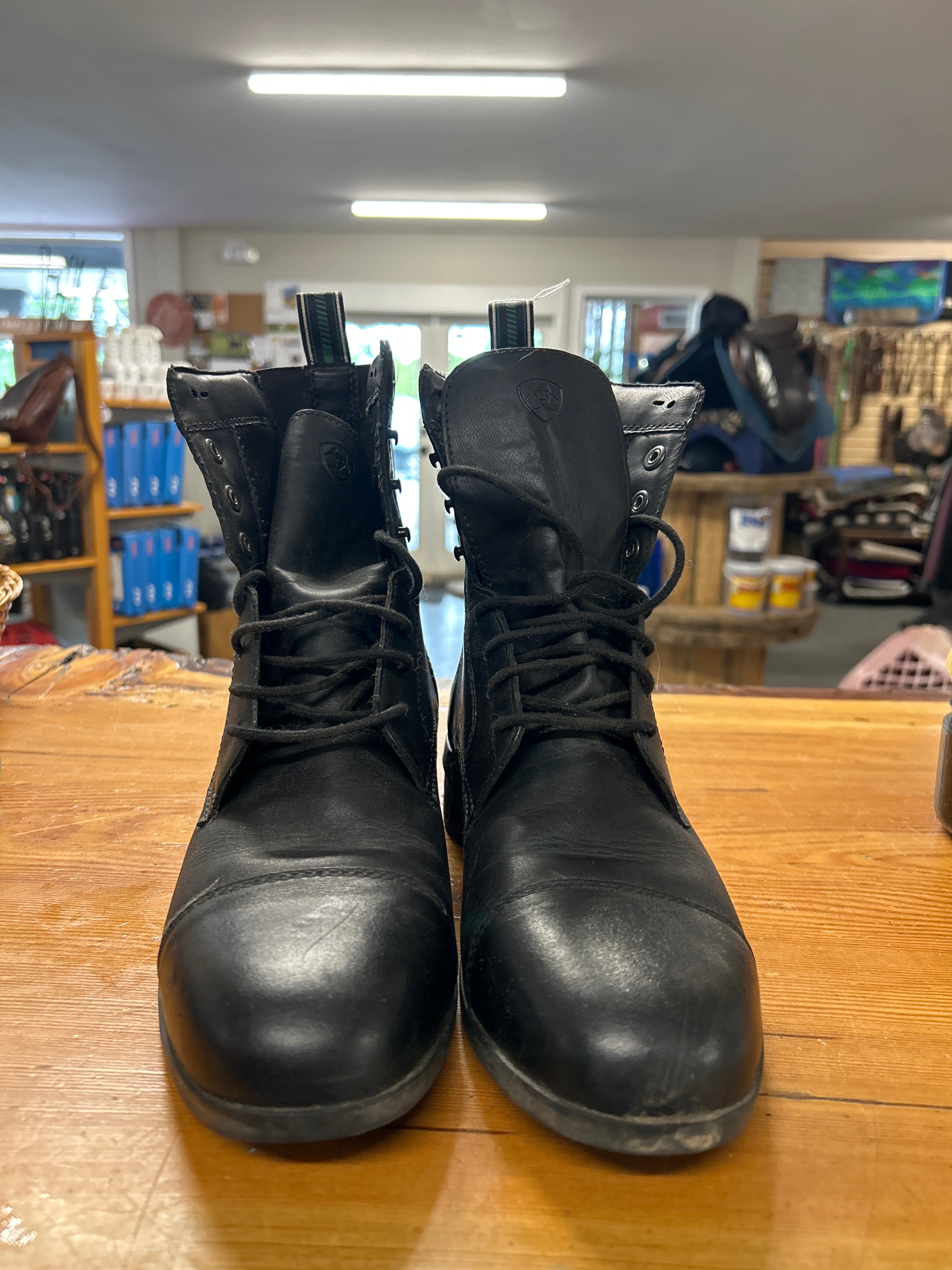 Ariat Lace Up Paddock Boots Mens 9-Paddock Boots-Consignment-Evolution Equestrian Co.