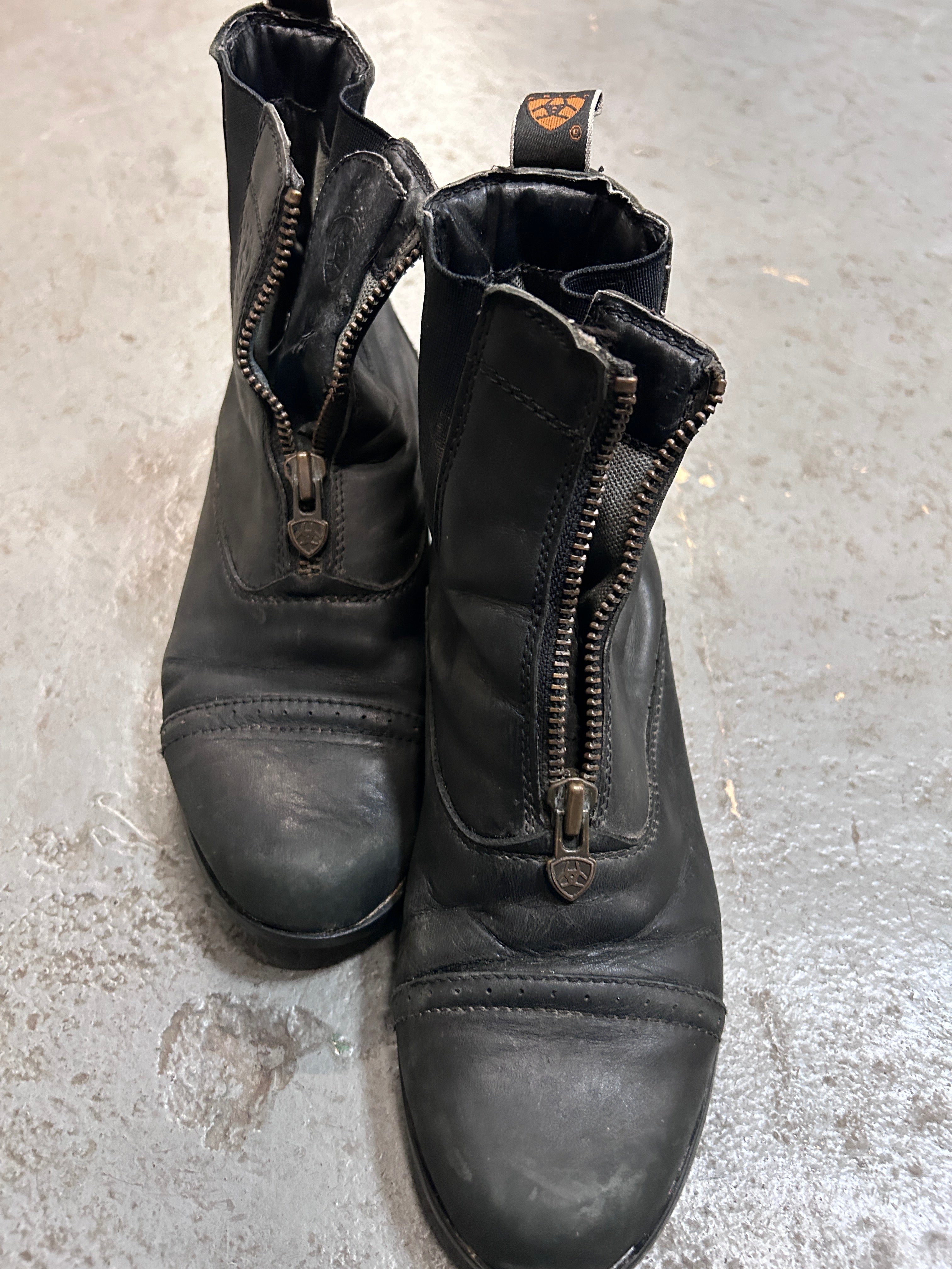 Ariat Paddock Boots 7B-Paddock Boots-Consignment-Evolution Equestrian Co.