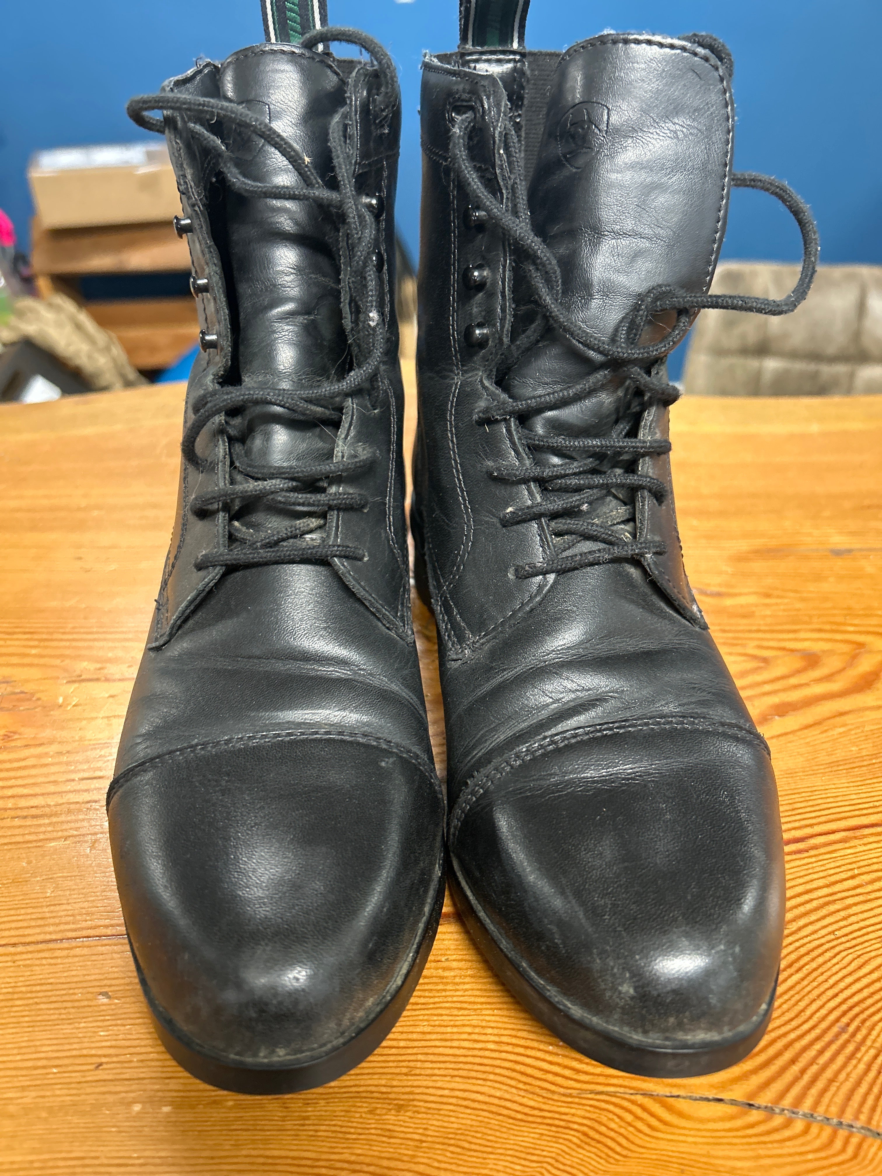 Ariat Paddock Boots 8-Shoes-Consignment-Evolution Equestrian Co.