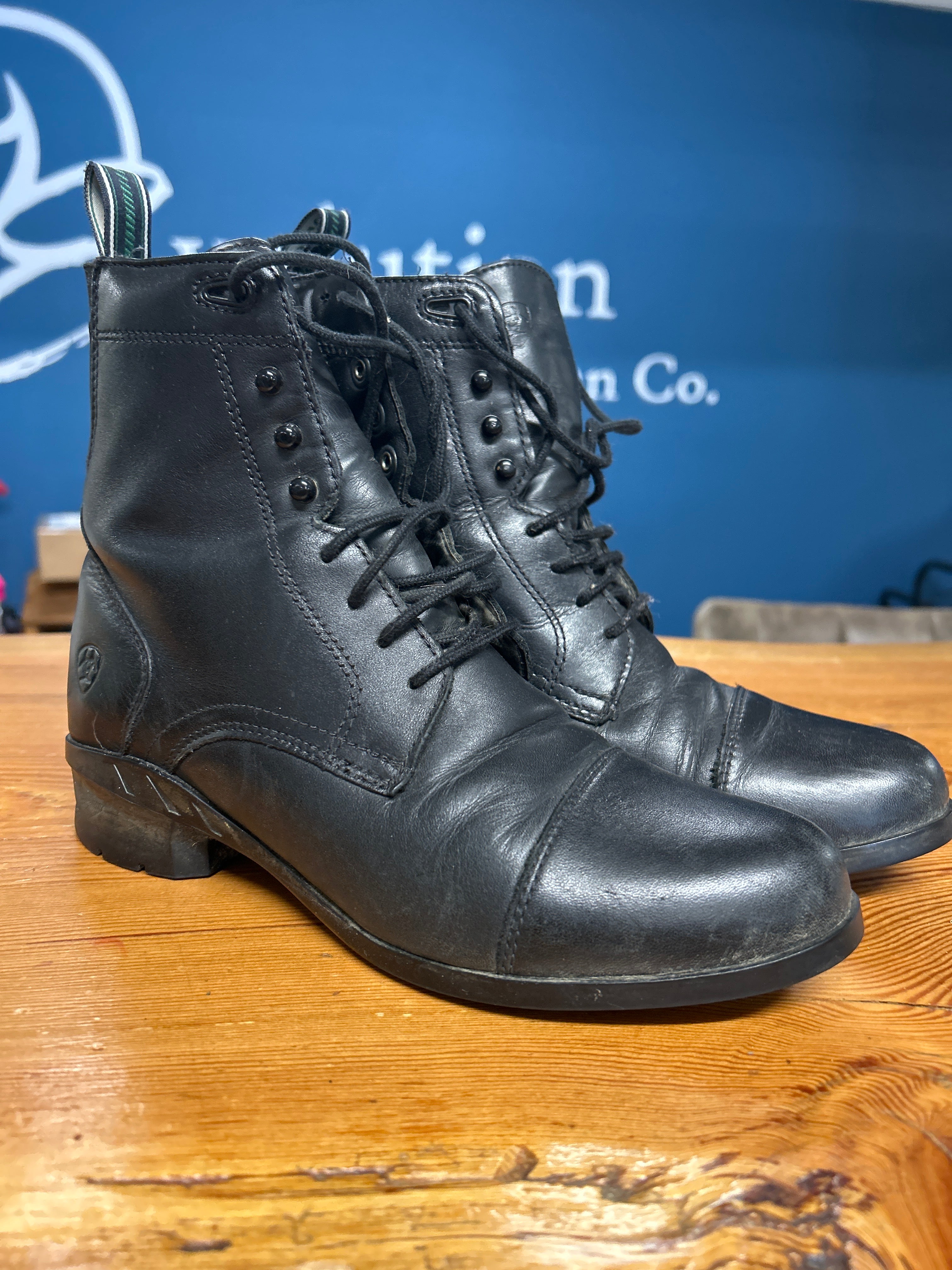 Ariat Paddock Boots 8-Shoes-Consignment-Evolution Equestrian Co.