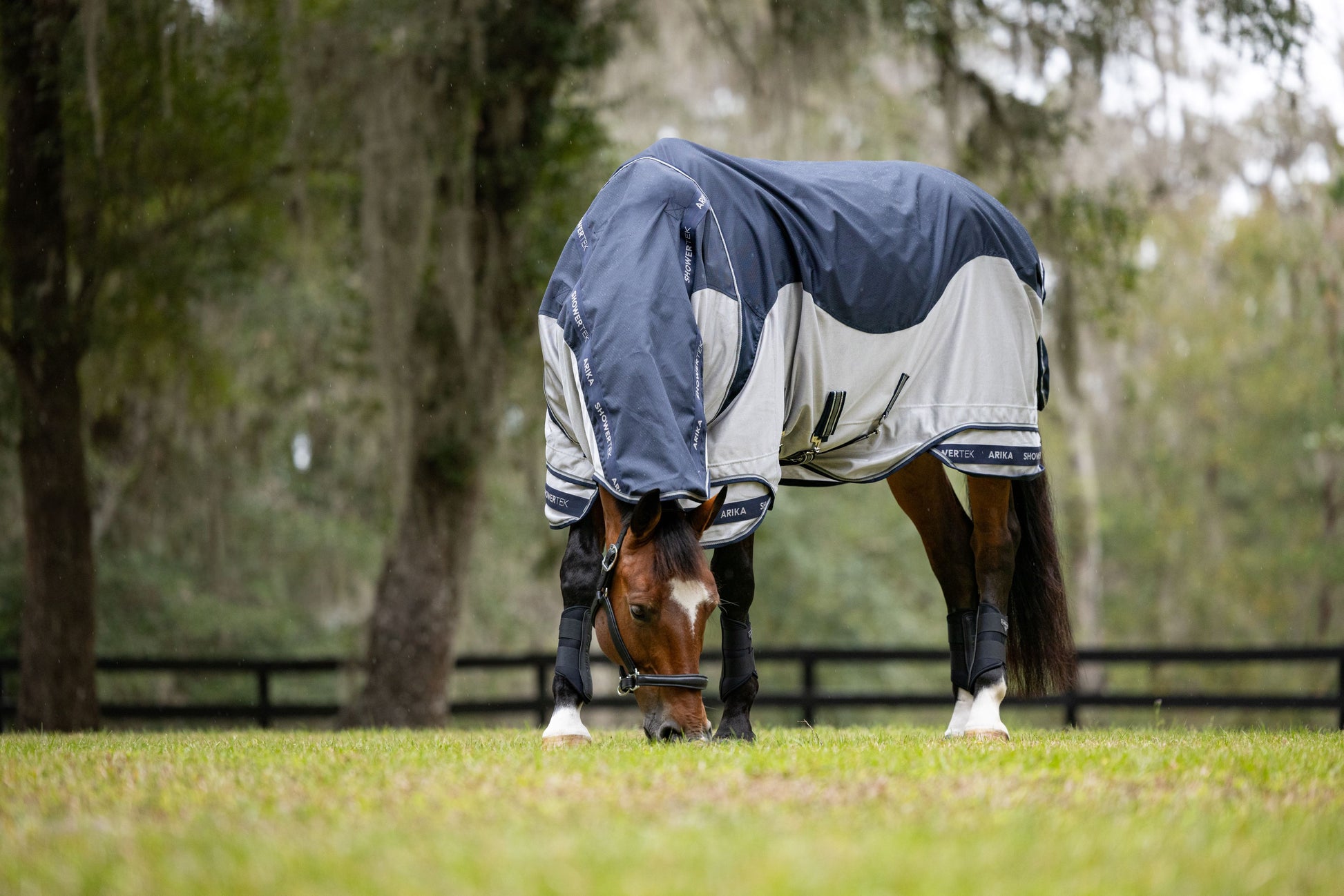 Arika Shower-Tek Fly Rug-Horse Blanket-LeMieux-81" / 6'9"-Evolution Equestrian Co.