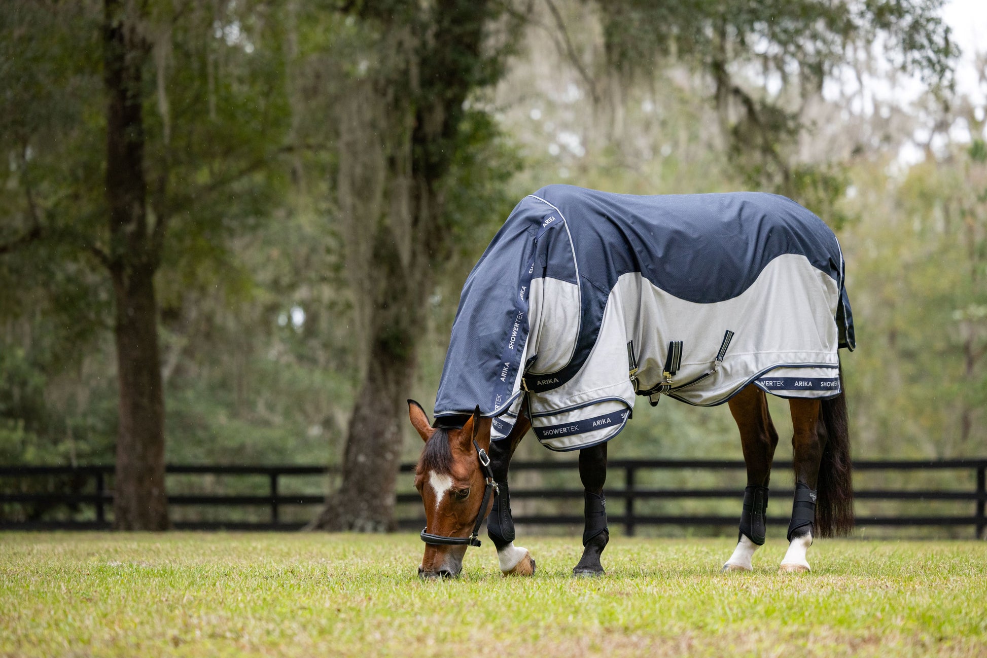 Arika Shower-Tek Fly Rug-Horse Blanket-LeMieux-75" / 6'3"-Evolution Equestrian Co.