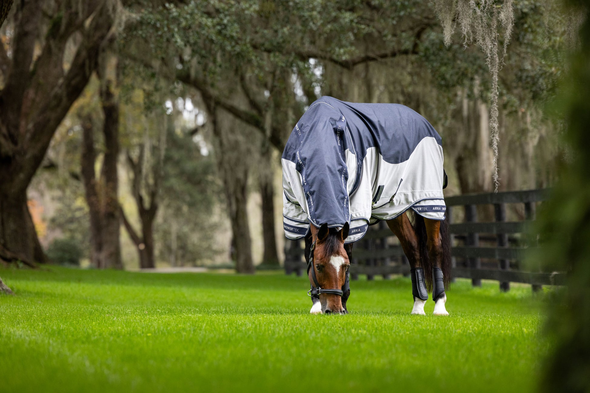 Arika Shower-Tek Fly Rug-Horse Blanket-LeMieux-72" / 6'0"-Evolution Equestrian Co.