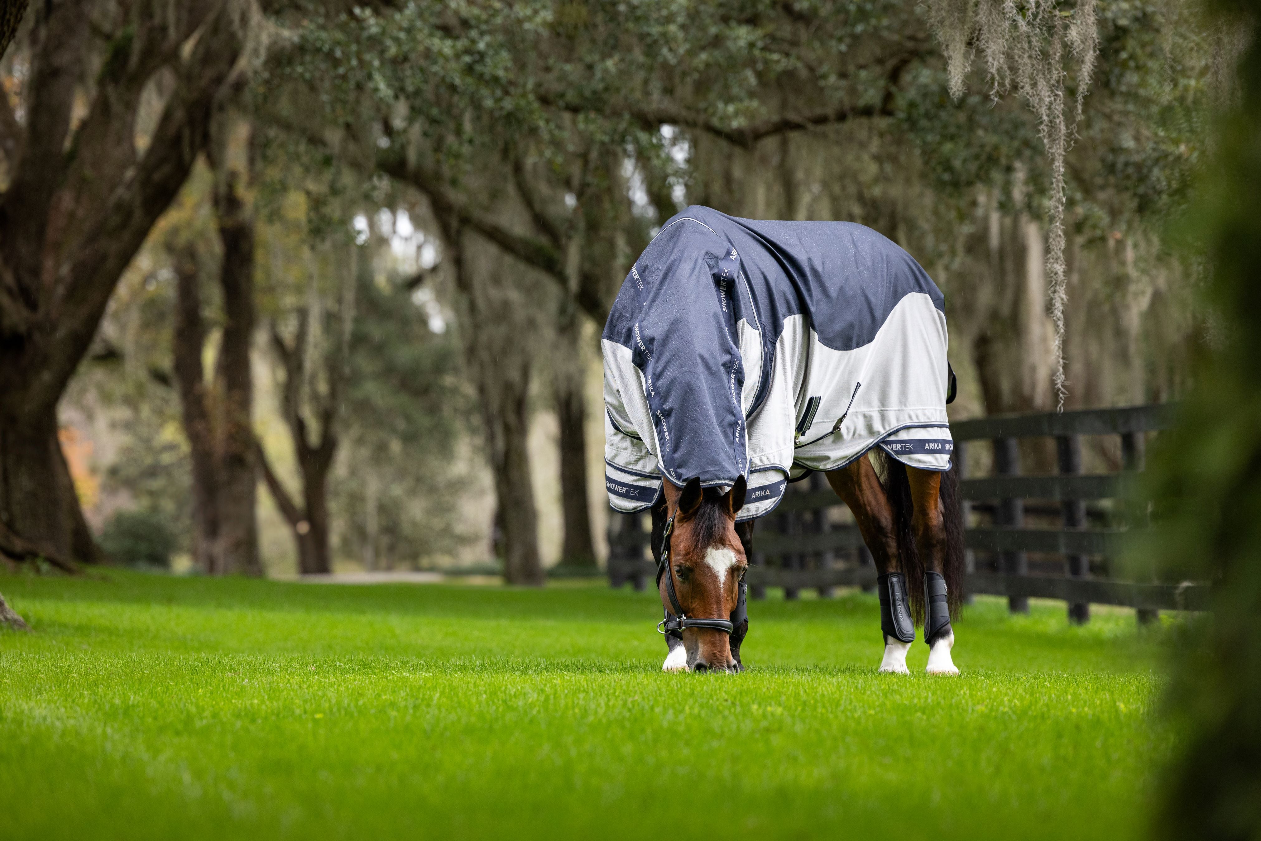 Arika Shower-Tek Fly Rug-Horse Blanket-LeMieux-72" / 6'0"-Evolution Equestrian Co.