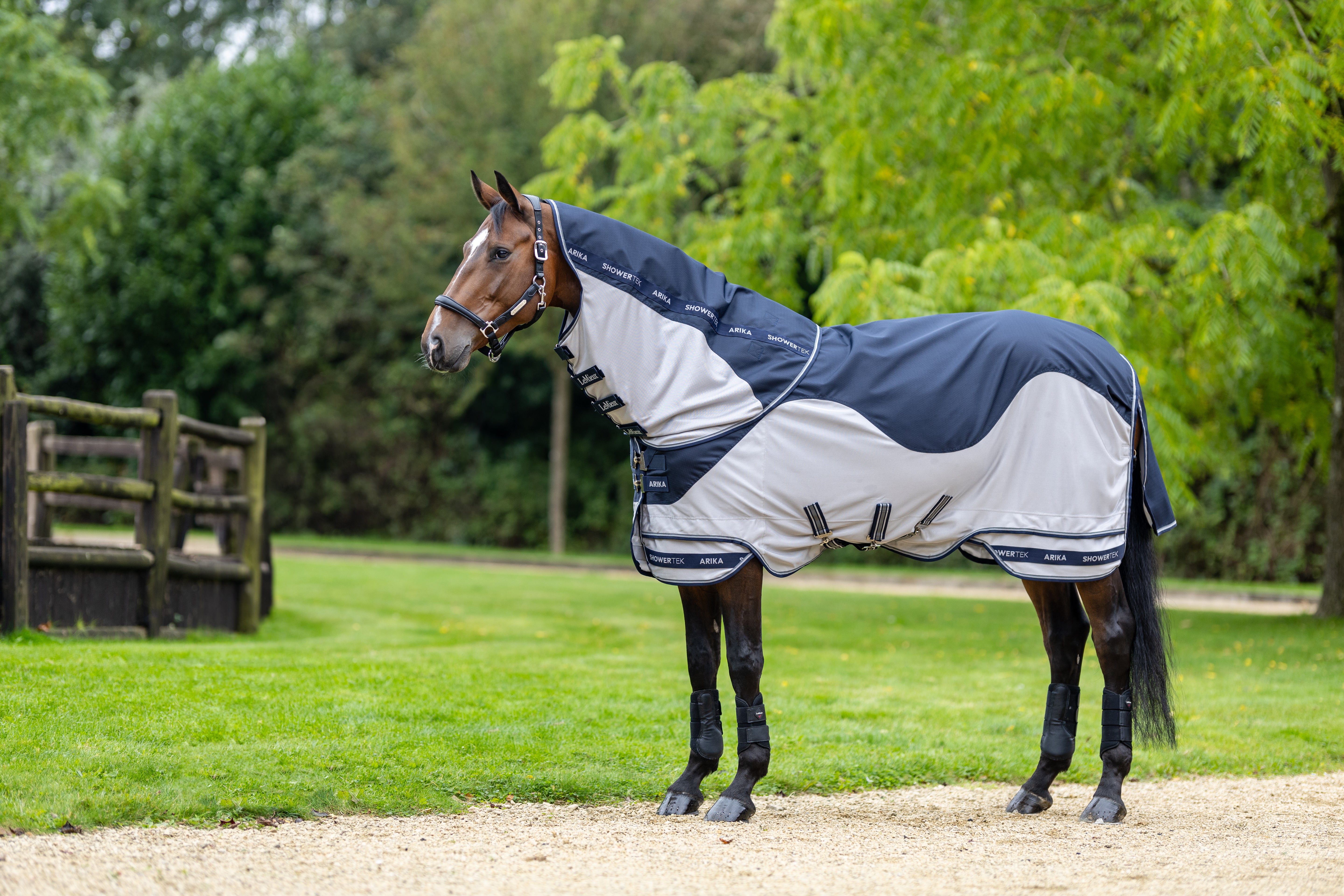 Arika Shower-Tek Fly Rug-Horse Blanket-LeMieux-69" / 5'9"-Evolution Equestrian Co.