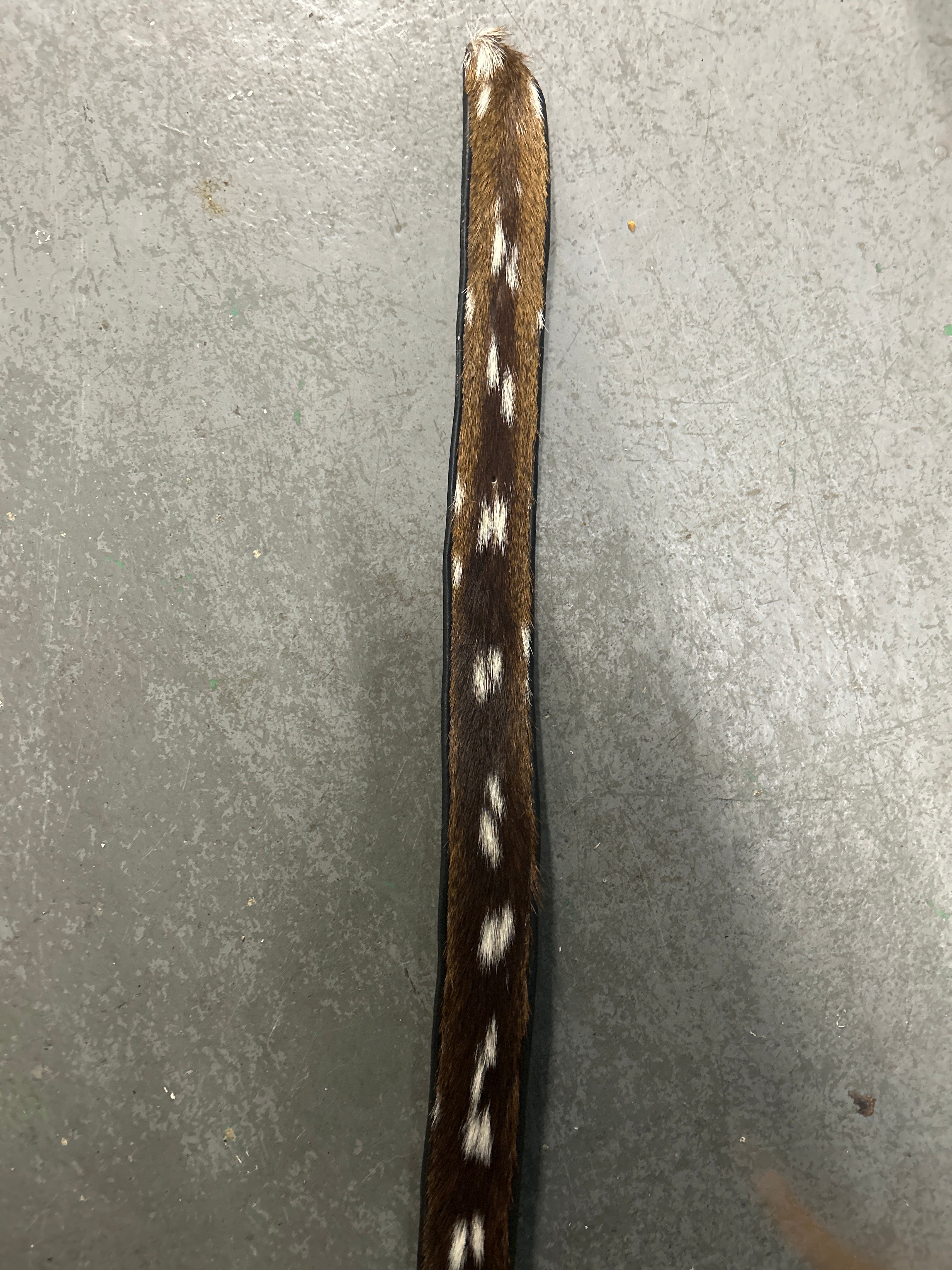 Axis Deerskin Belt 46"-Belt-Consignment-Evolution Equestrian Co.