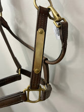 Load image into Gallery viewer, Standing Martingale Warmblood
