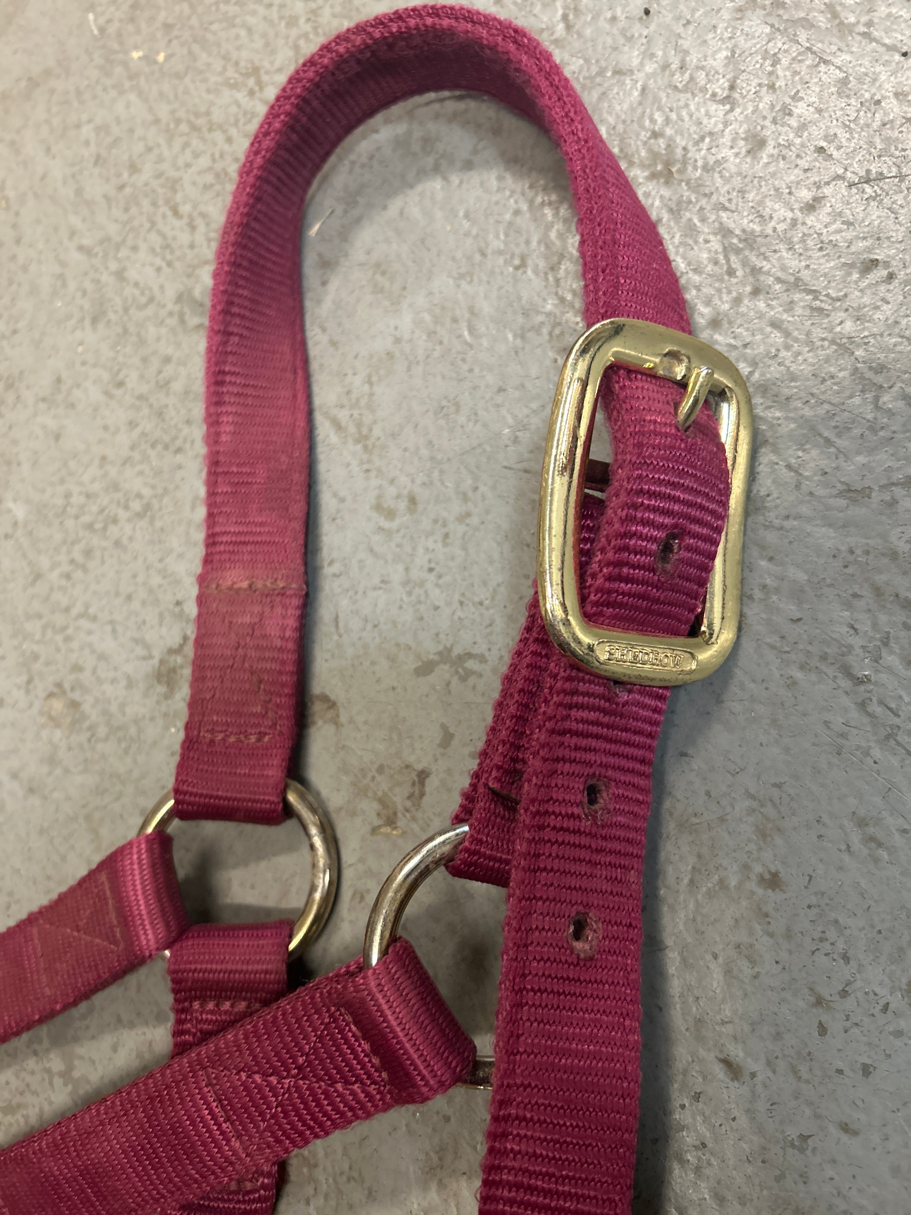 Shedrow Deluxe Nylon Halter Burgundy Full