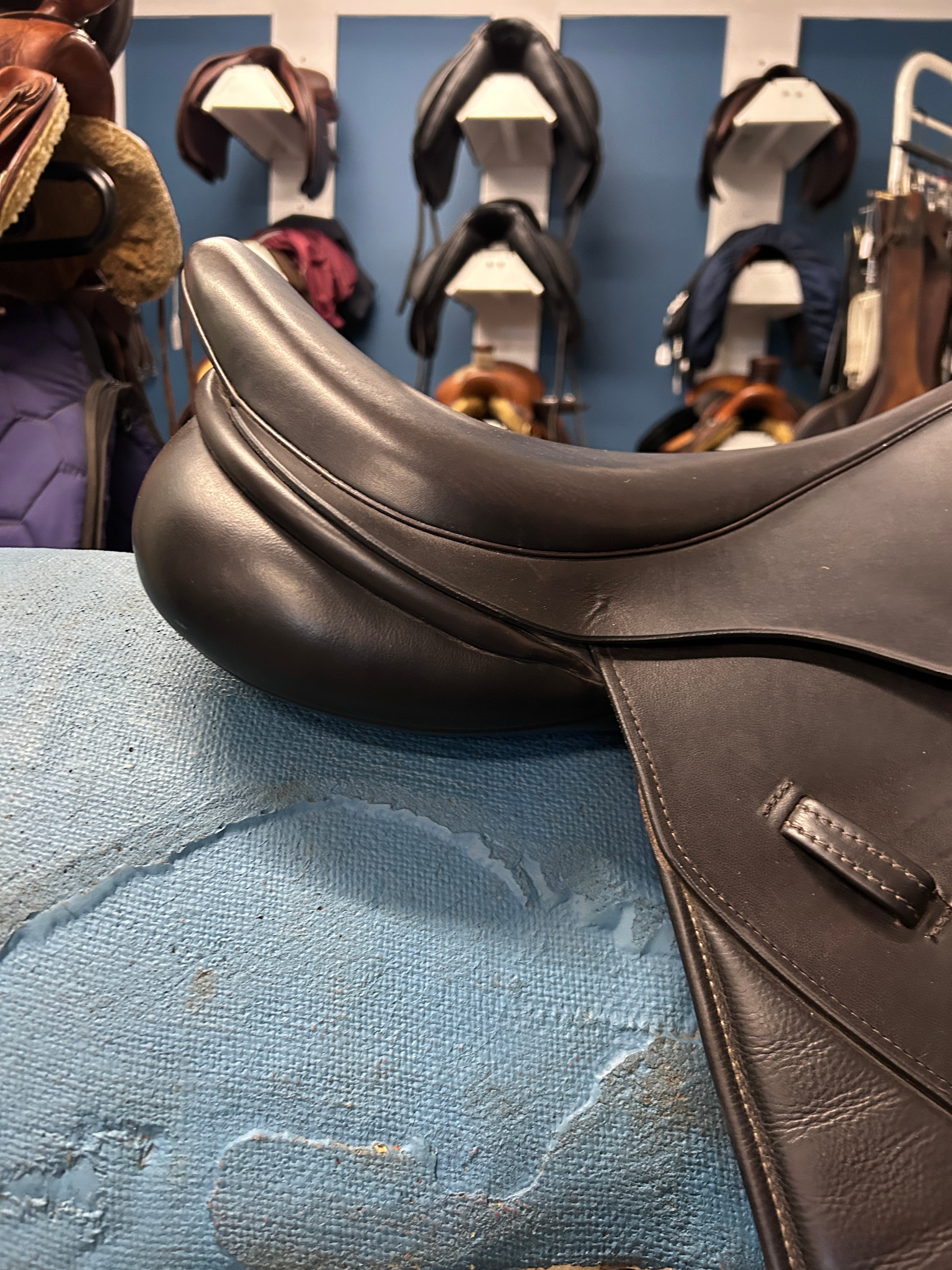 17.5" NSC Cordelia Jump Saddle