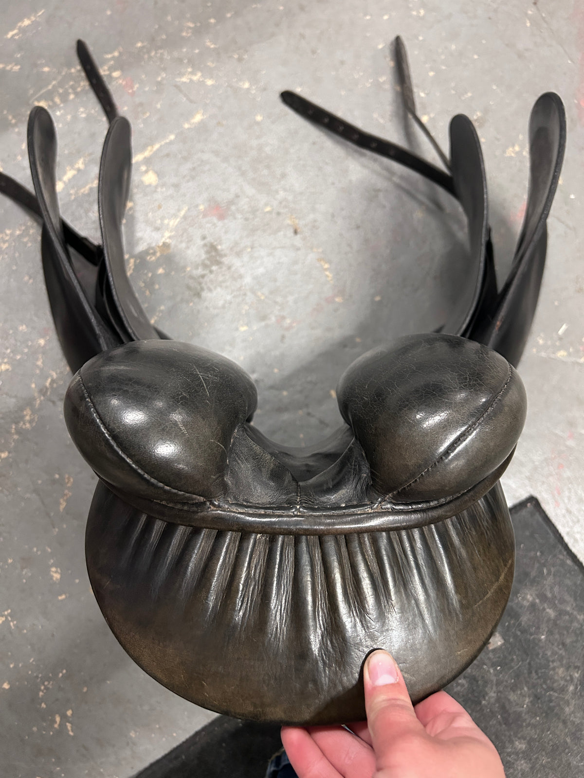 16.5" Regal Dressage Saddle