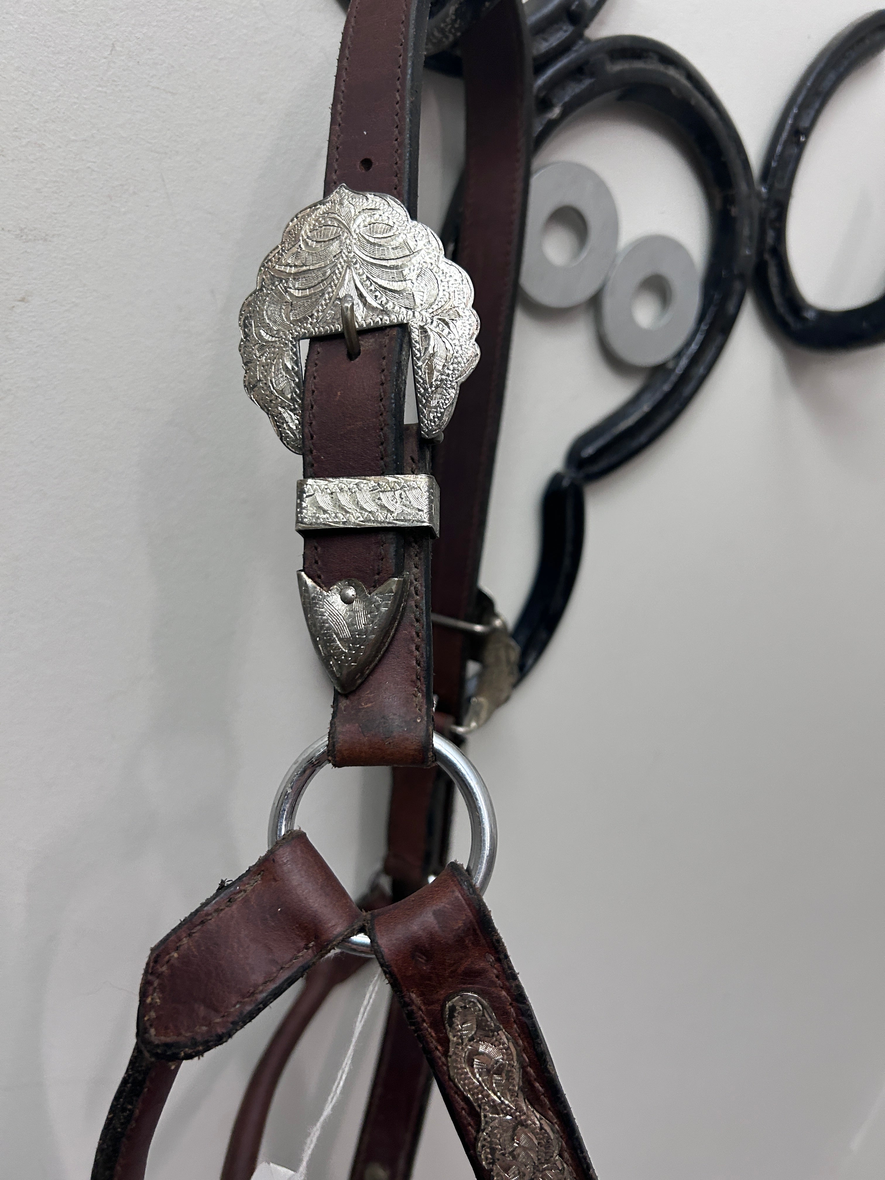 Show Halter