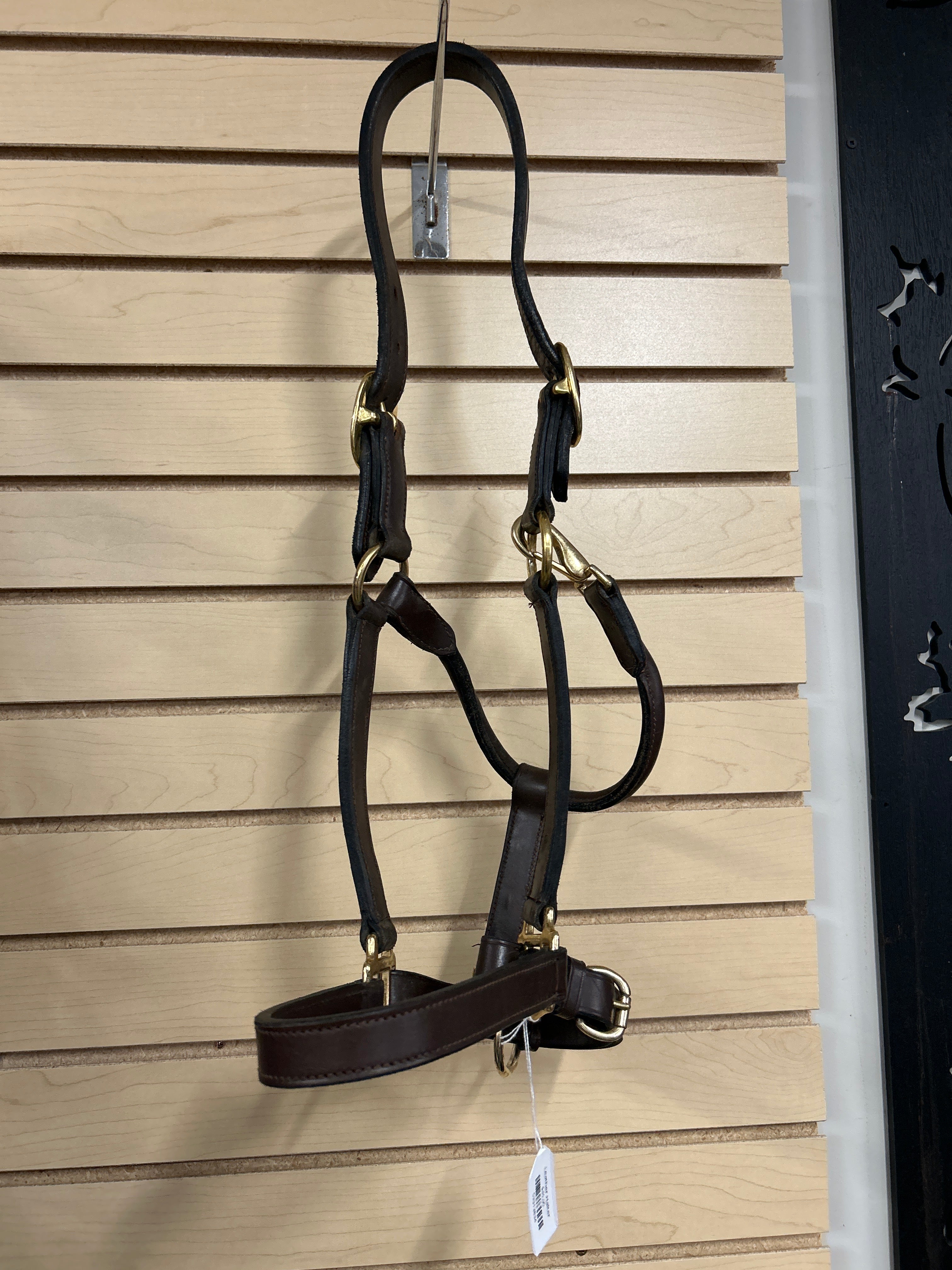 Leather Halter