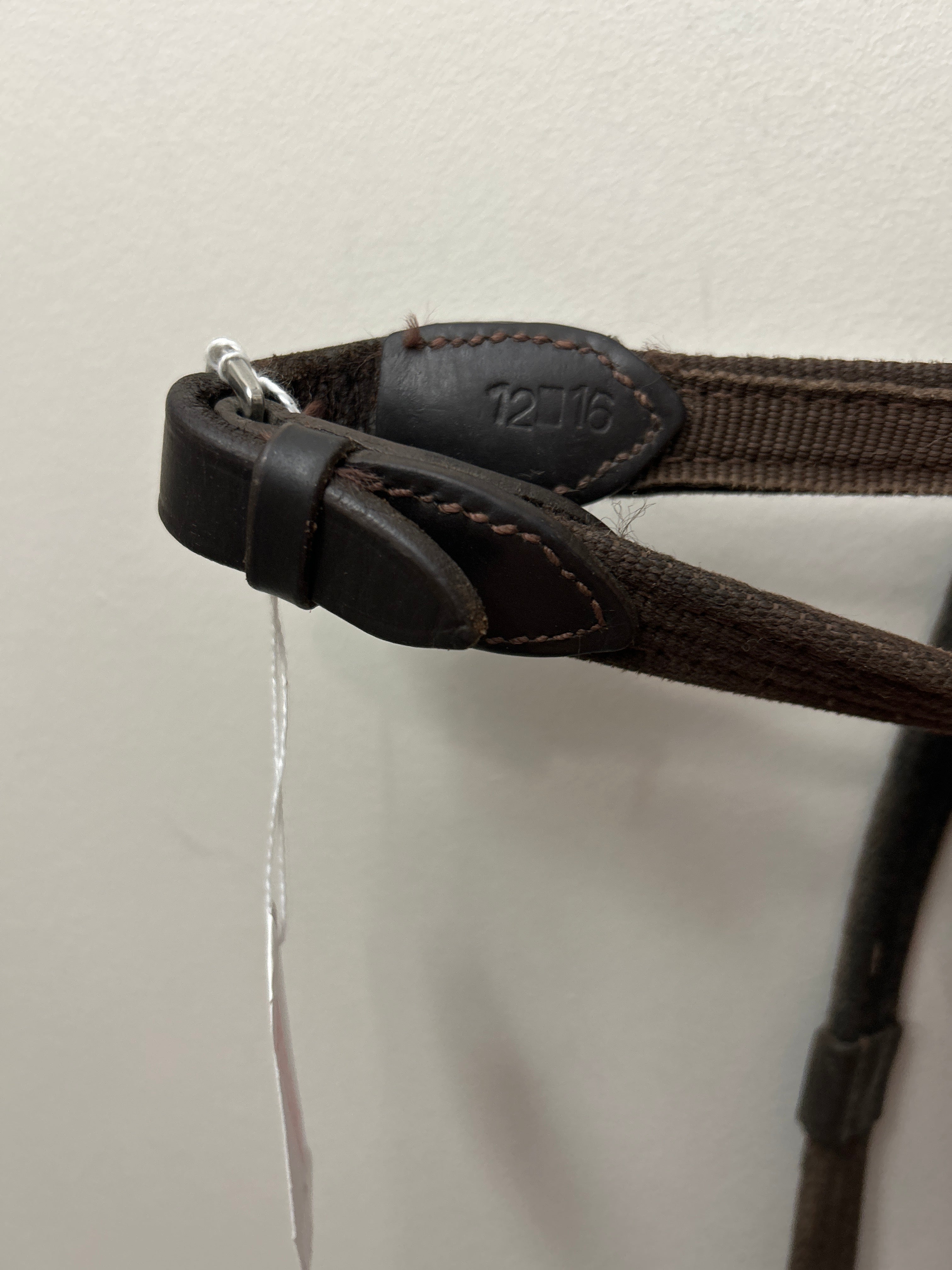 Coloured Webbed Reins