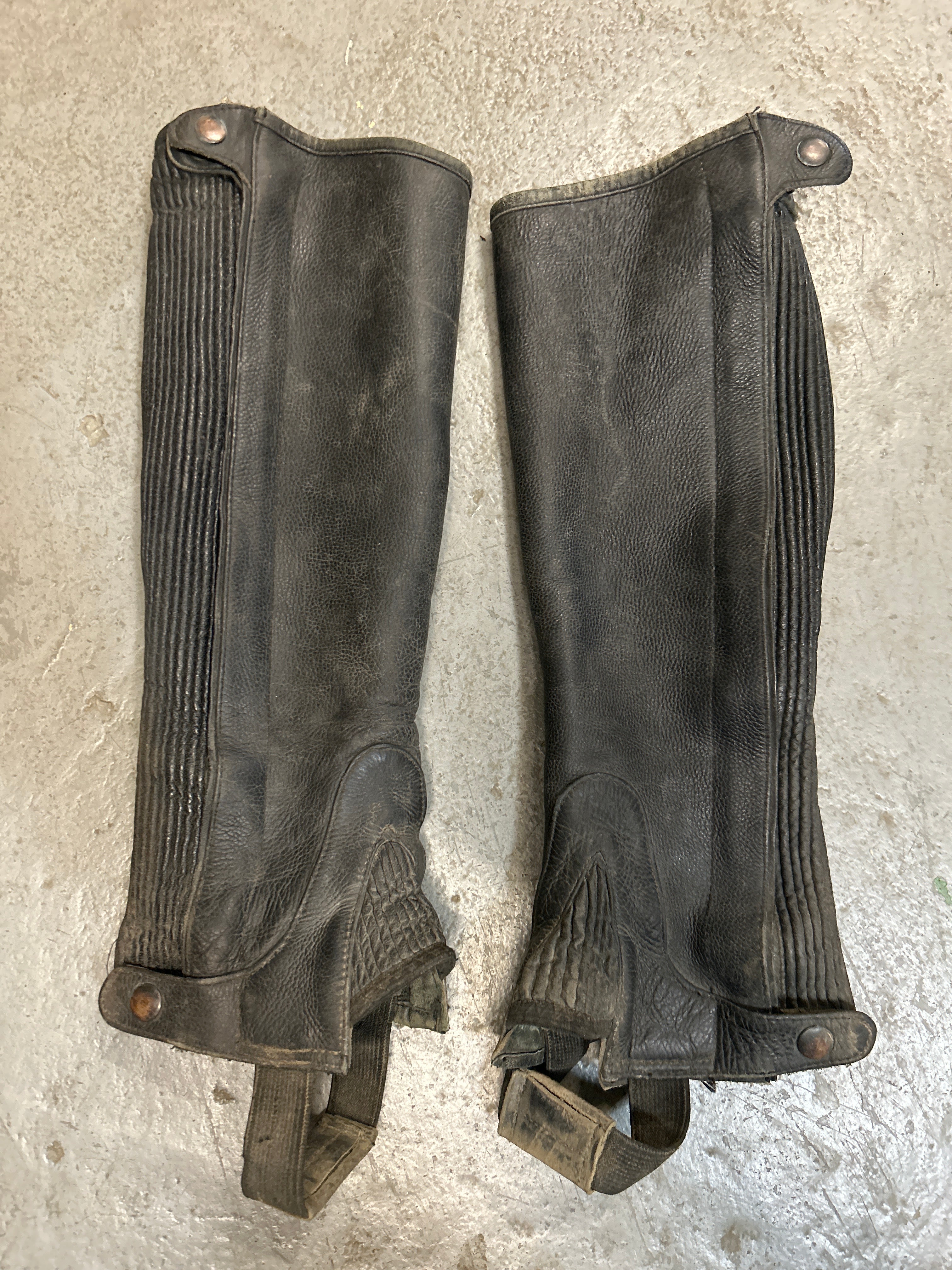 Leather Half Chaps Large