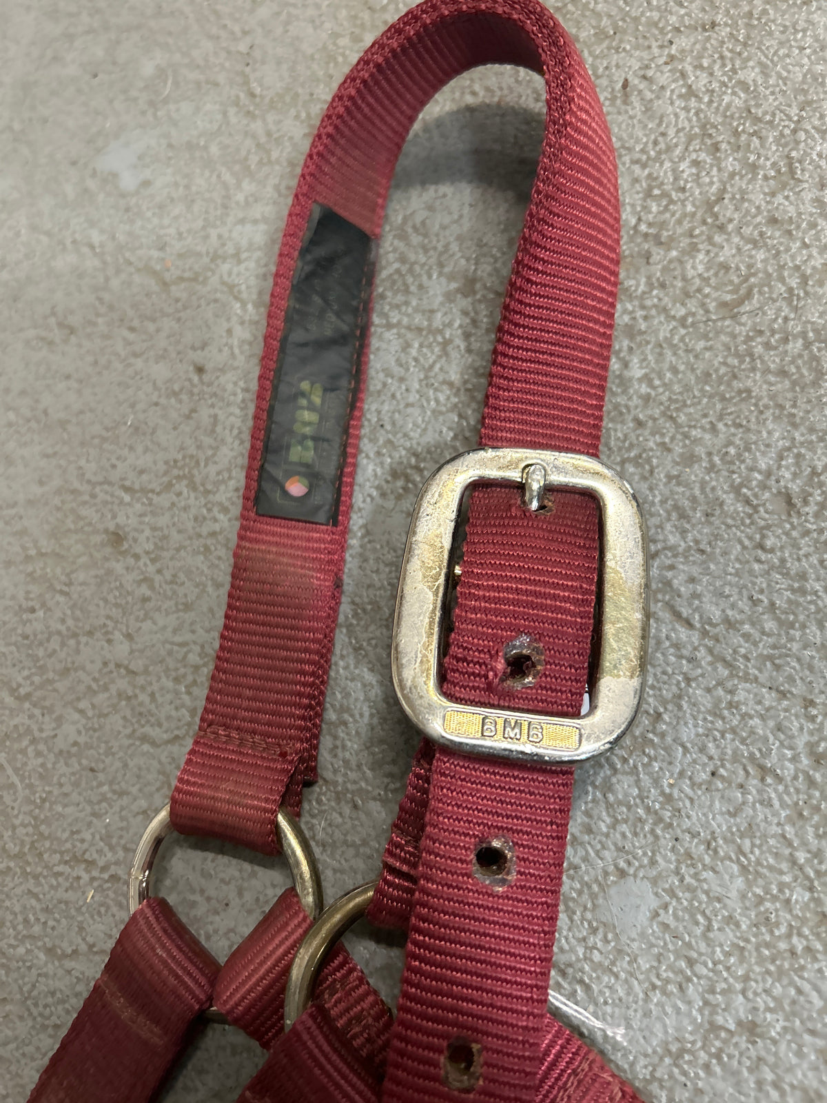 Mb Collection Halter BMB Burgundy Halter with Leads – Evolution Equestrian Co.