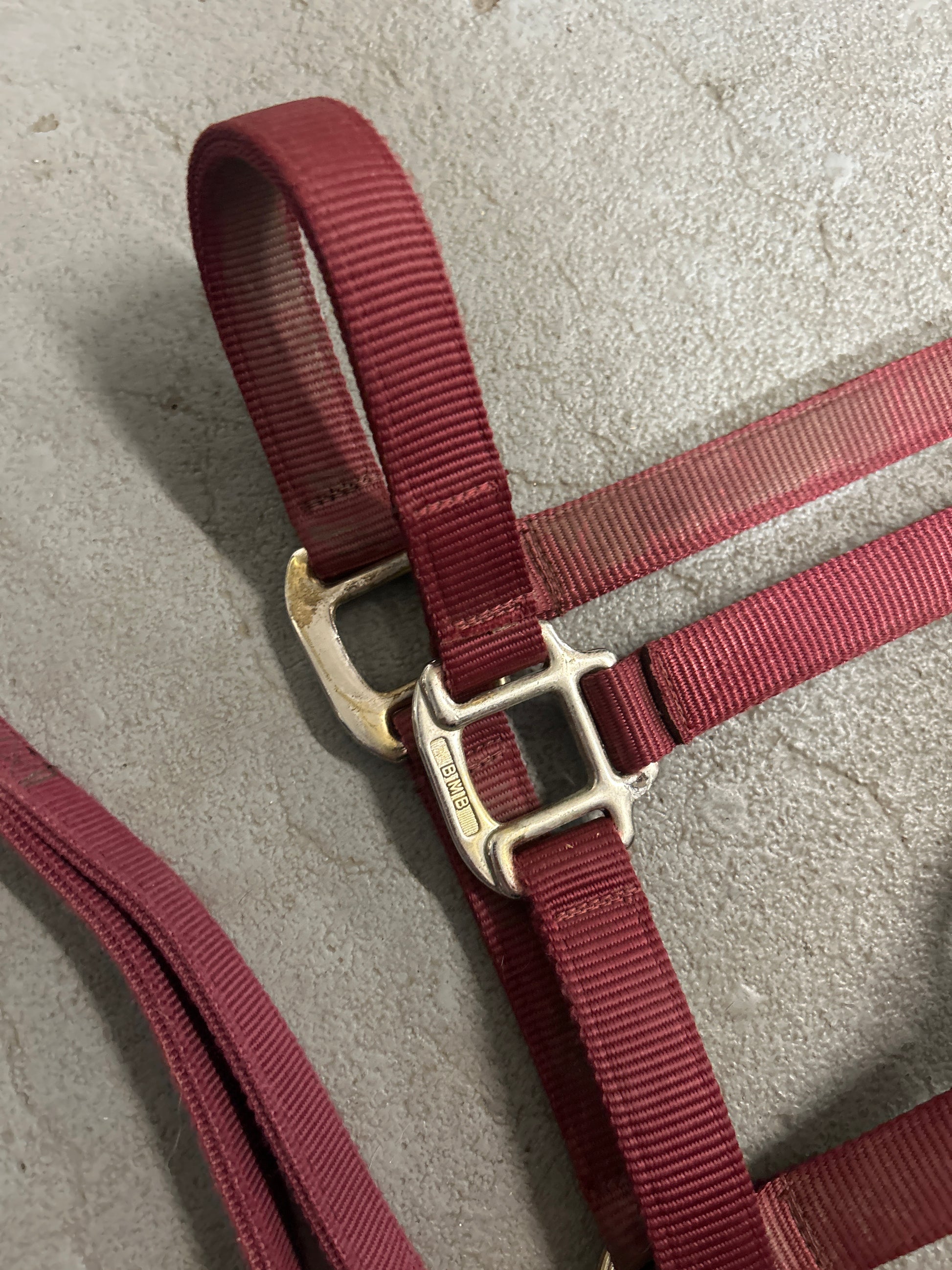 BMB Burgundy Halter with Leads-Halter-Consignment-Evolution Equestrian Co.