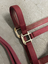 Load image into Gallery viewer, BMB Burgundy Halter with Leads-Halter-Consignment-Evolution Equestrian Co.
