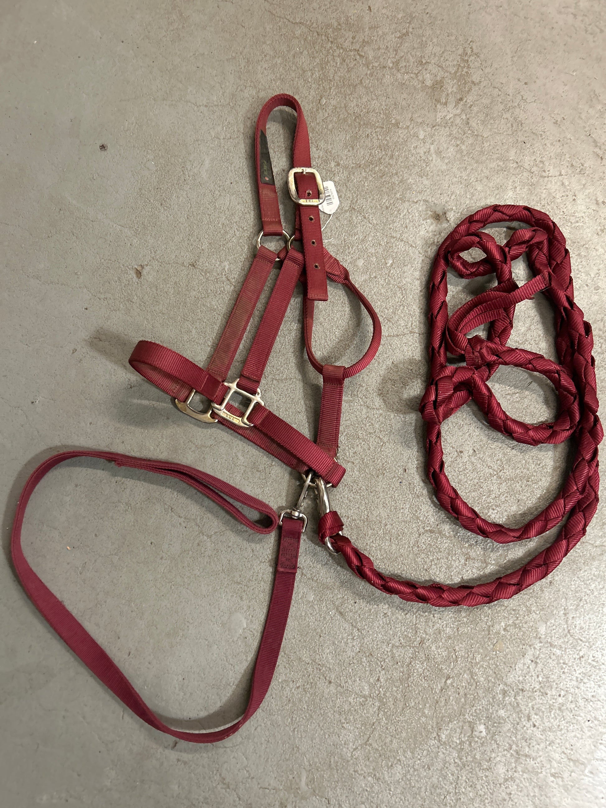 BMB Burgundy Halter with Leads-Halter-Consignment-Evolution Equestrian Co.