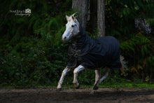 Load image into Gallery viewer, Back-On-Track-Obsidian-turnout-Blanket-horse
