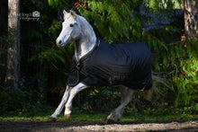 Load image into Gallery viewer, Back on Track Obsidian Turnout Blanket 87&quot;
