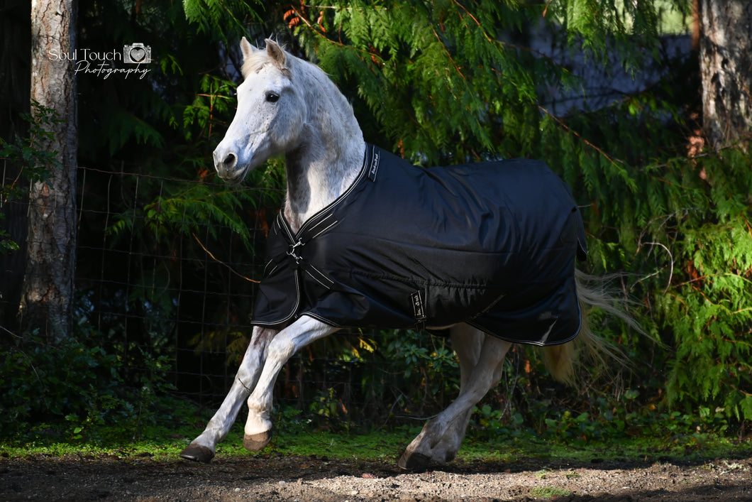 Back on Track Obsidian Turnout Blanket 87