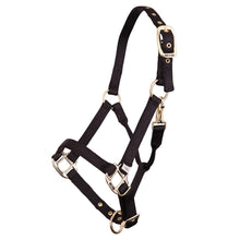 Load image into Gallery viewer, BR Nylon Foal Halter-Horse Halters-Bieman De Haas-Black-Evolution Equestrian Co.
