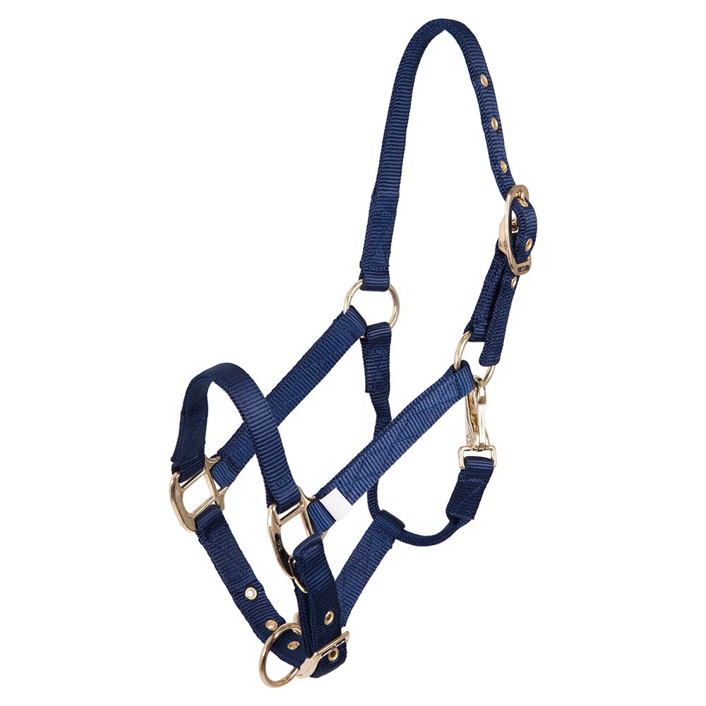 BR Nylon Foal Halter-Horse Halters-Bieman De Haas-Blue-Evolution Equestrian Co.