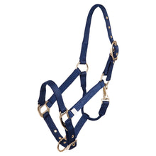 Load image into Gallery viewer, BR Nylon Foal Halter-Horse Halters-Bieman De Haas-Blue-Evolution Equestrian Co.
