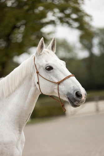 BR Rope Halter-Halter-Bieman De Haas-Meteorite-Pony-Evolution Equestrian Co.