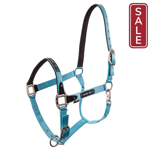 BR Vivid Pony Halter-Halter-Bieman De Haas-Sky Blue-Shetland-Evolution Equestrian Co.