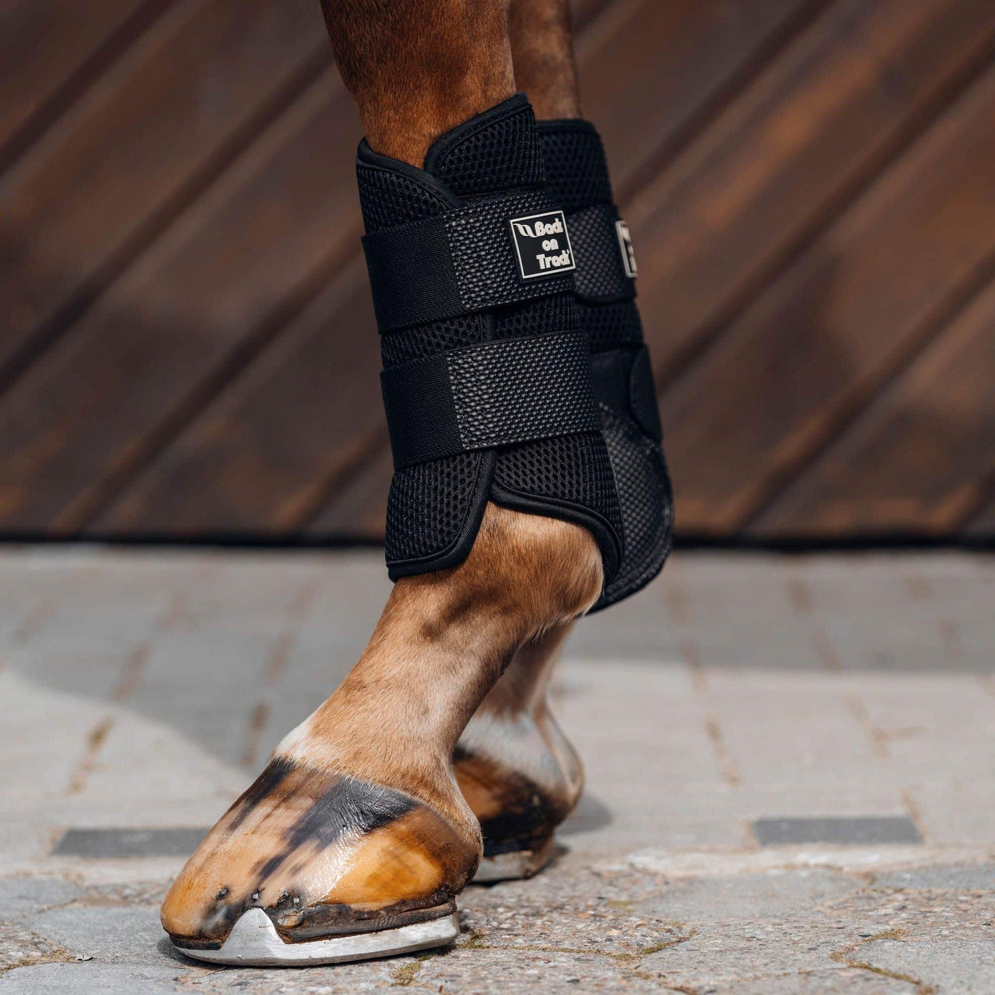 Back On Track 3D Mesh Brush Boots Black Small-Brushing Boots-Consignment-Evolution Equestrian Co.